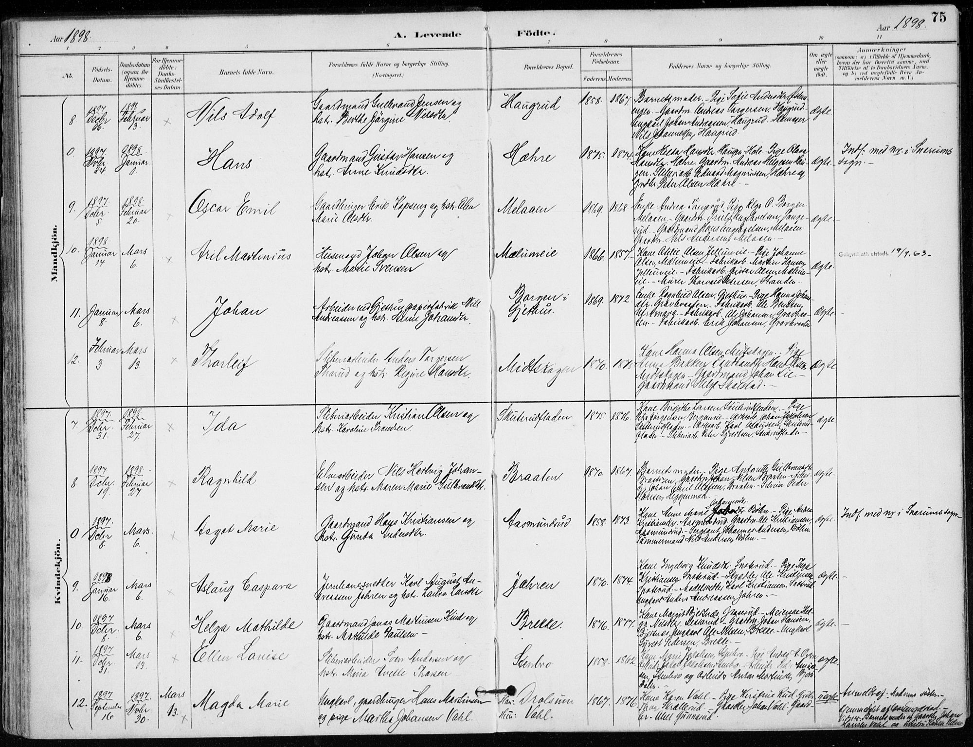 Modum kirkebøker, AV/SAKO-A-234/F/Fa/L0012: Parish register (official) no. 12, 1890-1898, p. 75