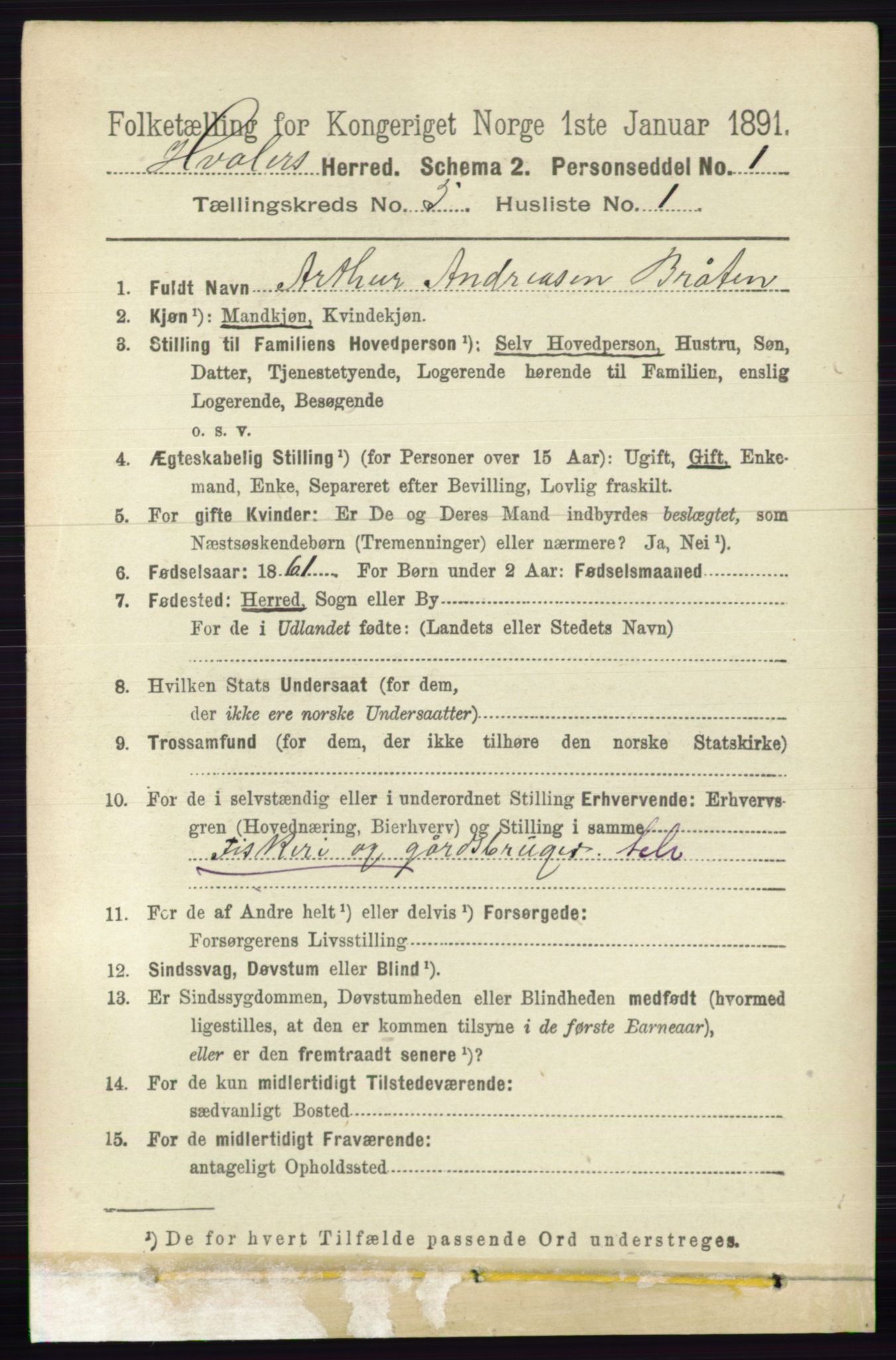 RA, 1891 census for 0111 Hvaler, 1891, p. 3185