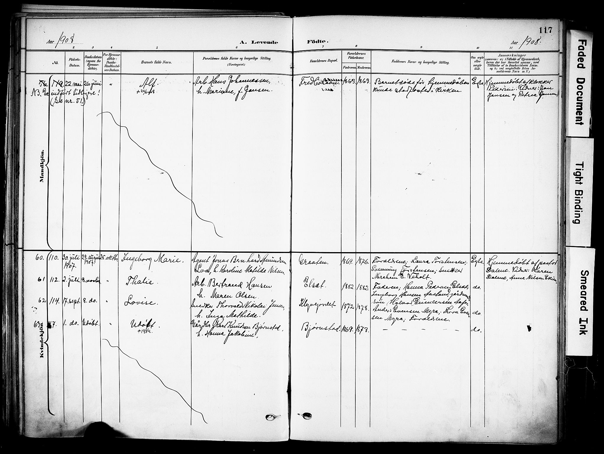 Solum kirkebøker, SAKO/A-306/F/Fa/L0011: Parish register (official) no. I 11, 1898-1909, p. 117