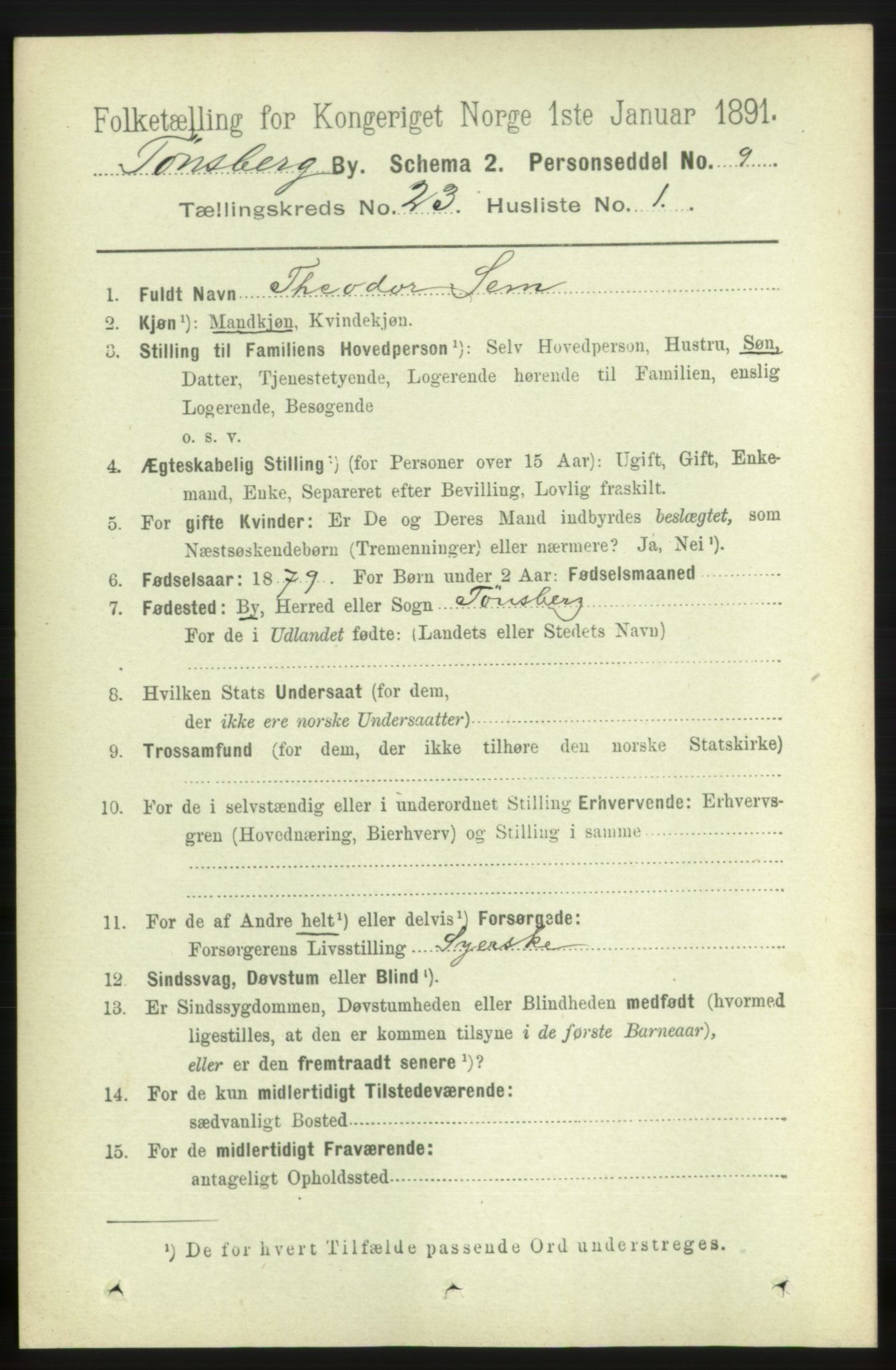 RA, 1891 census for 0705 Tønsberg, 1891, p. 6019