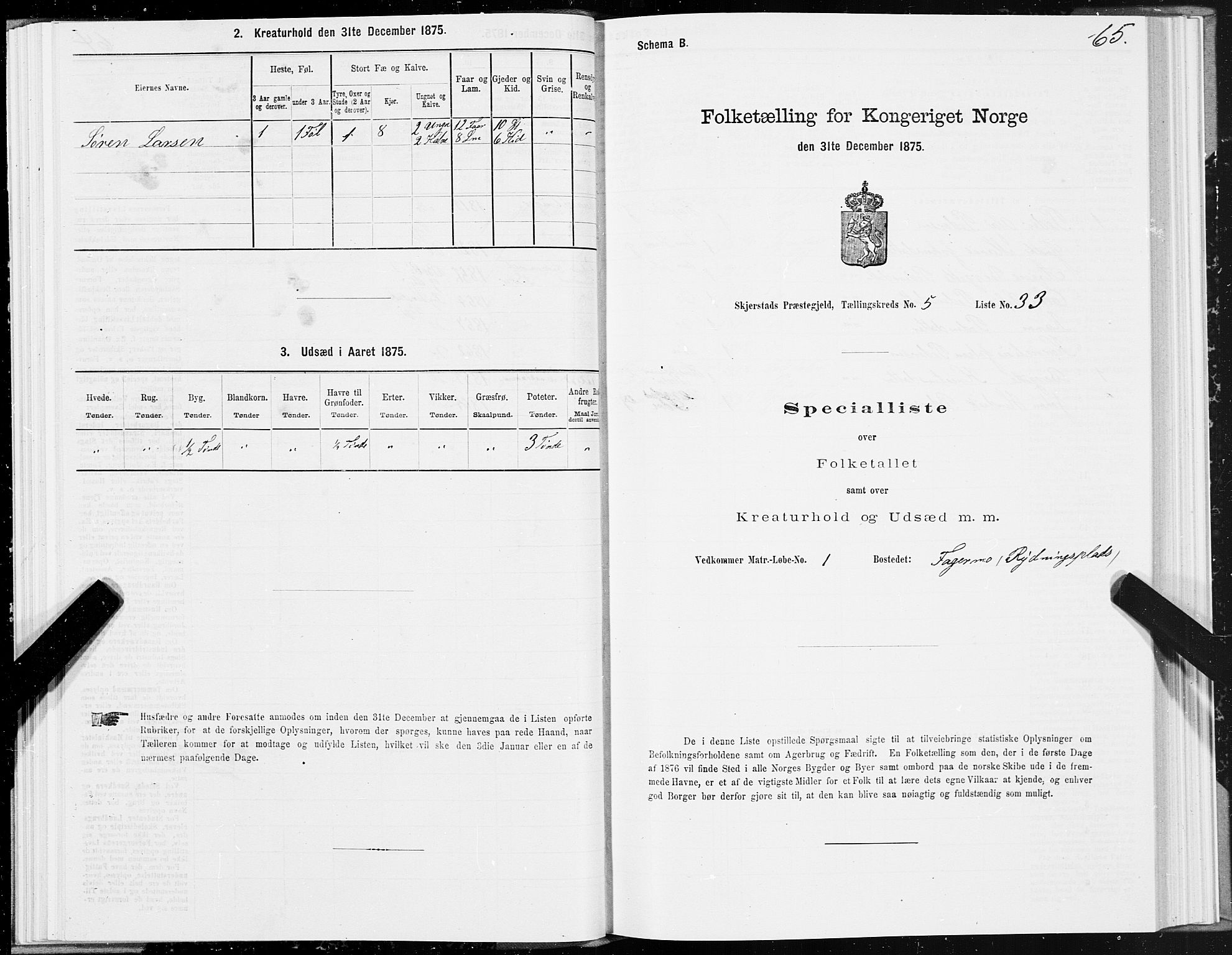 SAT, 1875 census for 1842P Skjerstad, 1875, p. 3065