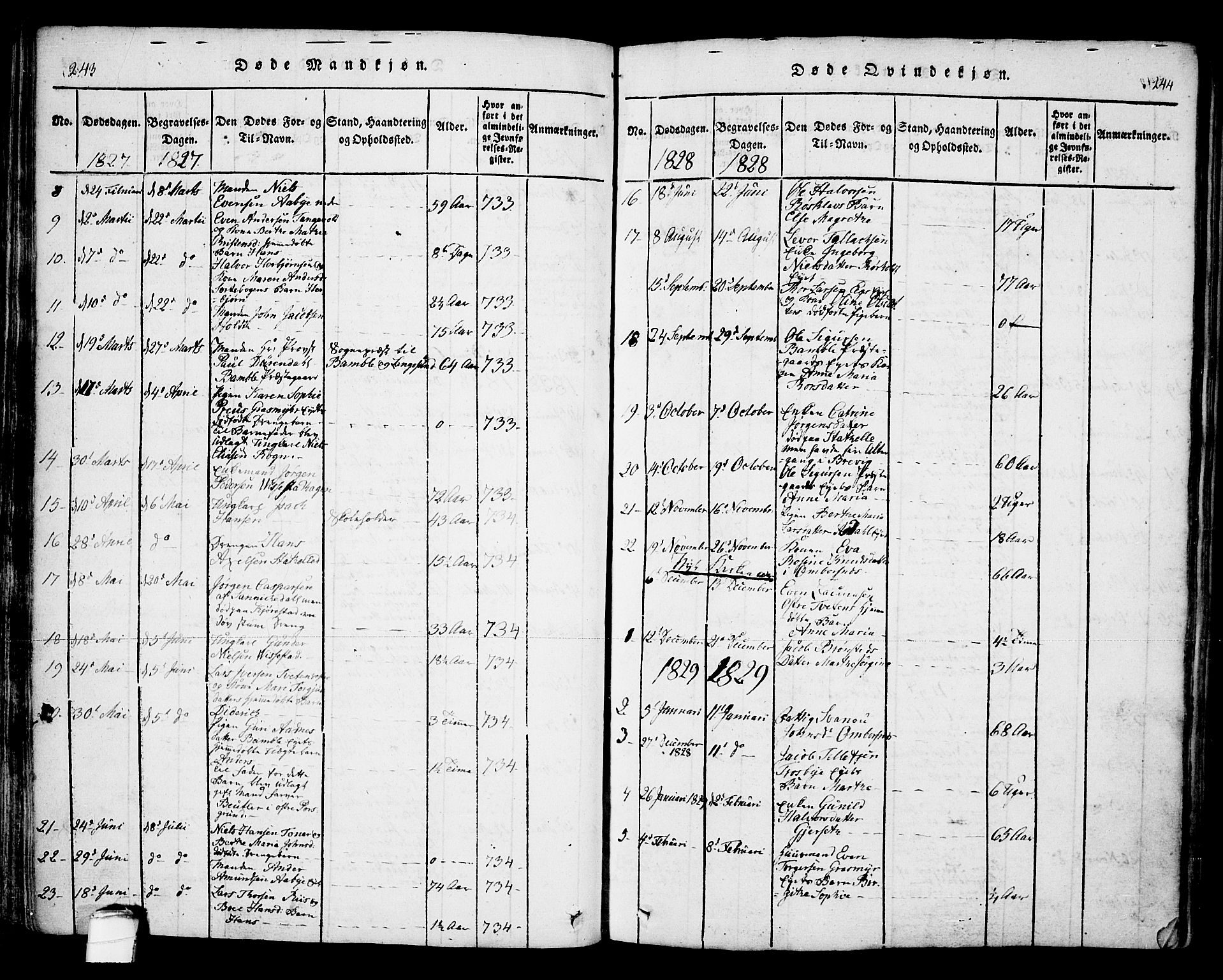 Bamble kirkebøker, AV/SAKO-A-253/F/Fa/L0003: Parish register (official) no. I 3 /1, 1814-1834, p. 243-244