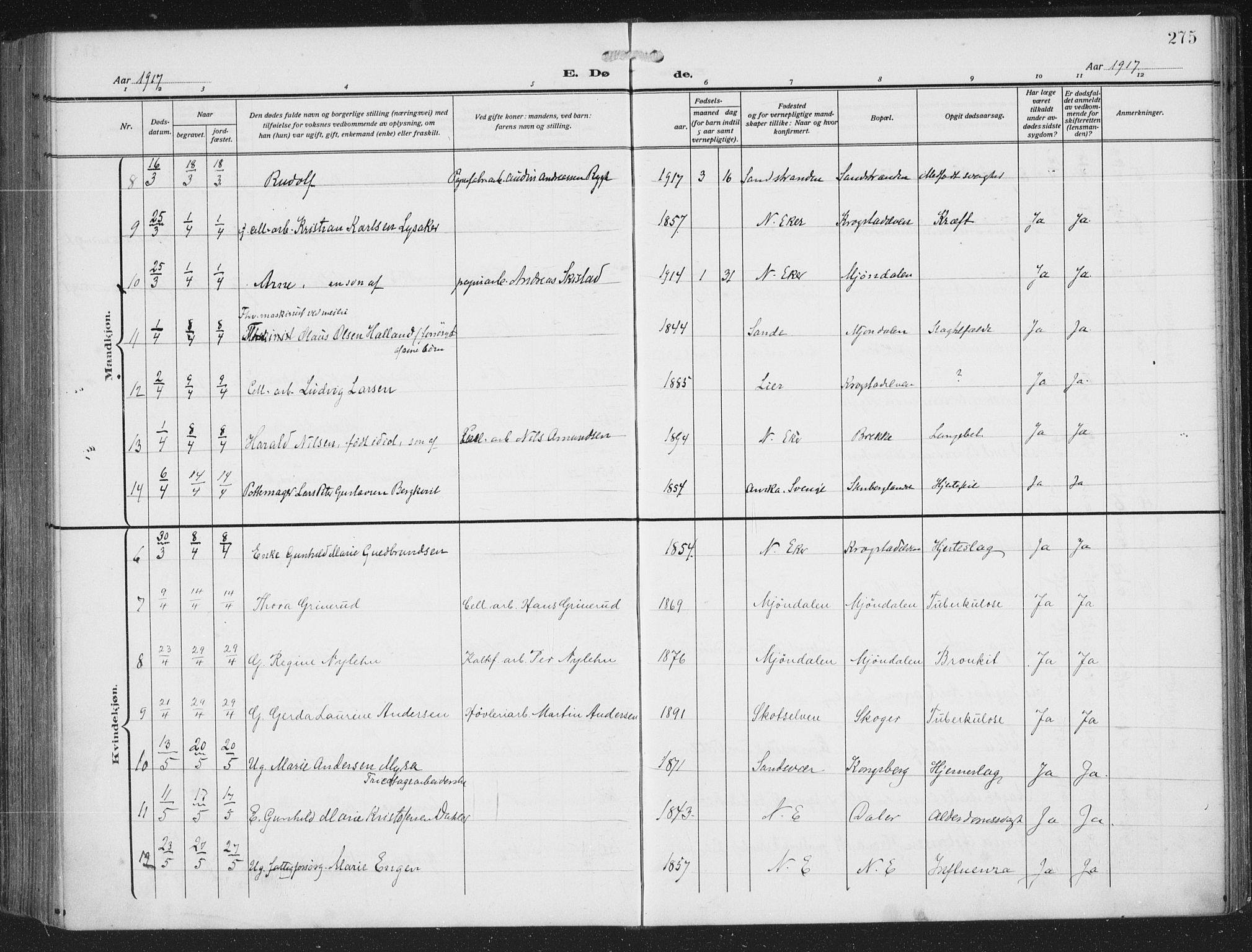 Nedre Eiker kirkebøker, AV/SAKO-A-612/F/Fa/L0007: Parish register (official) no. 7, 1912-1918, p. 275