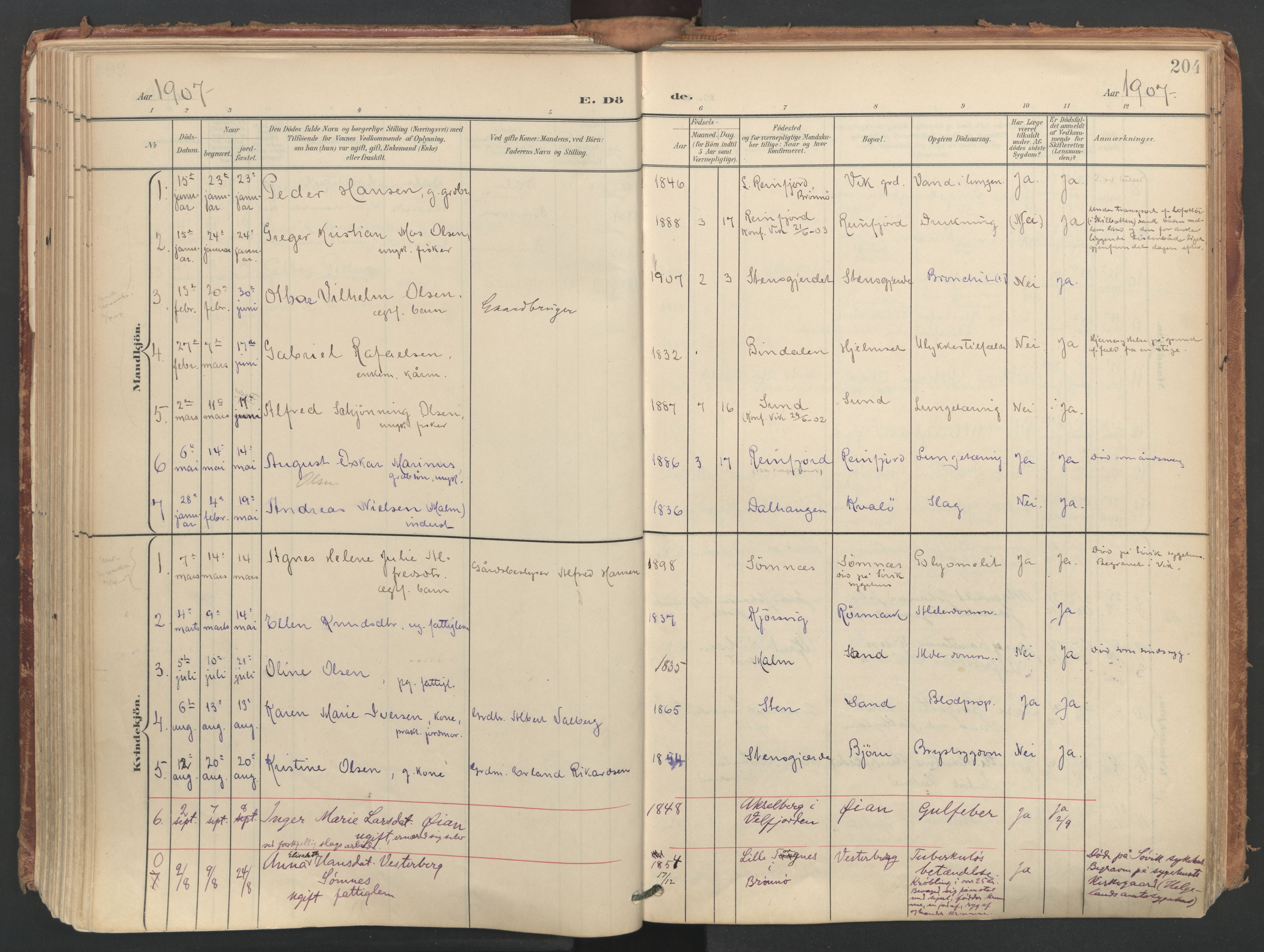 Ministerialprotokoller, klokkerbøker og fødselsregistre - Nordland, SAT/A-1459/812/L0180: Parish register (official) no. 812A09, 1901-1915, p. 204