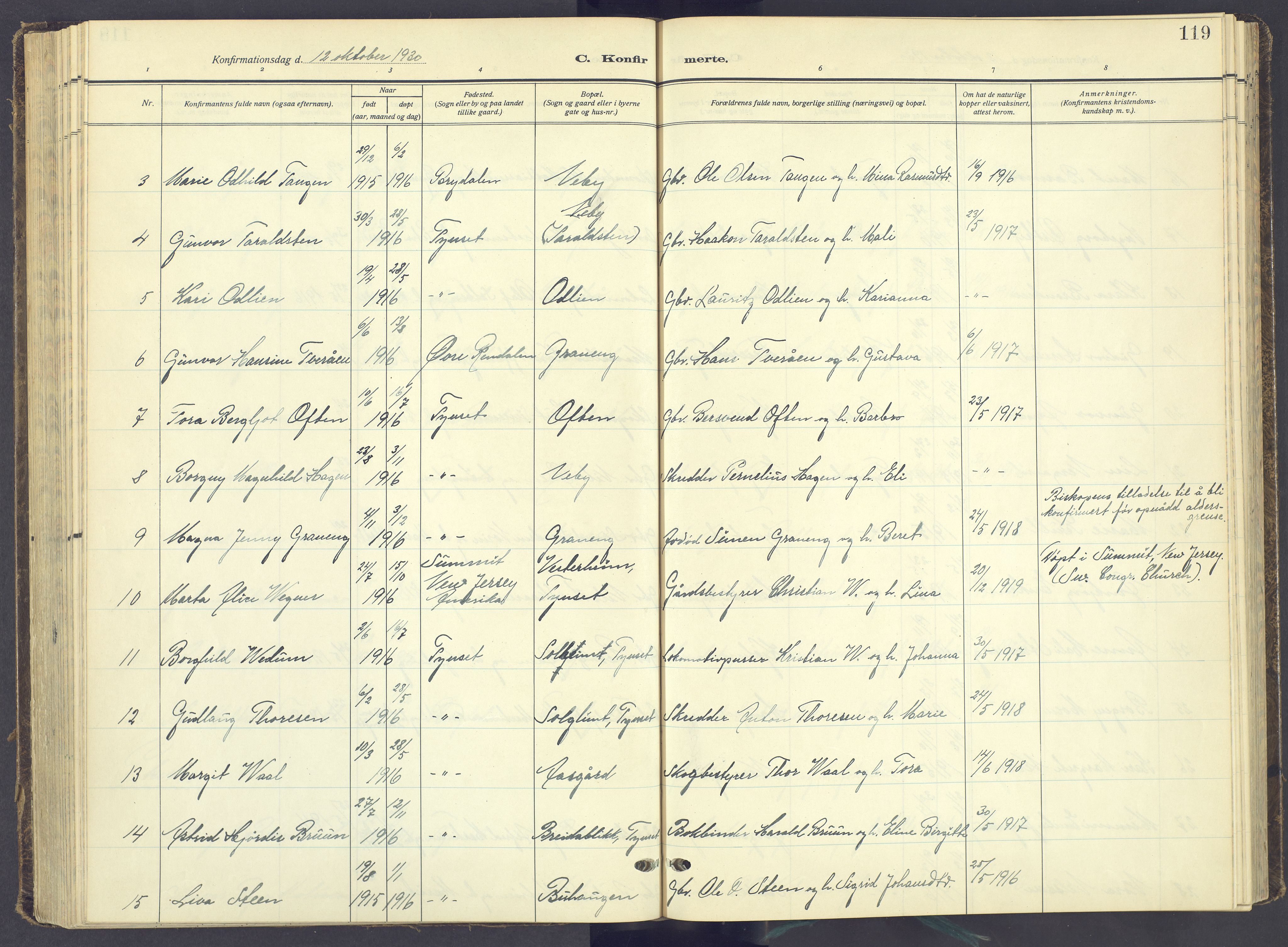 Tynset prestekontor, AV/SAH-PREST-058/H/Ha/Haa/L0027: Parish register (official) no. 27, 1930-1944, p. 119