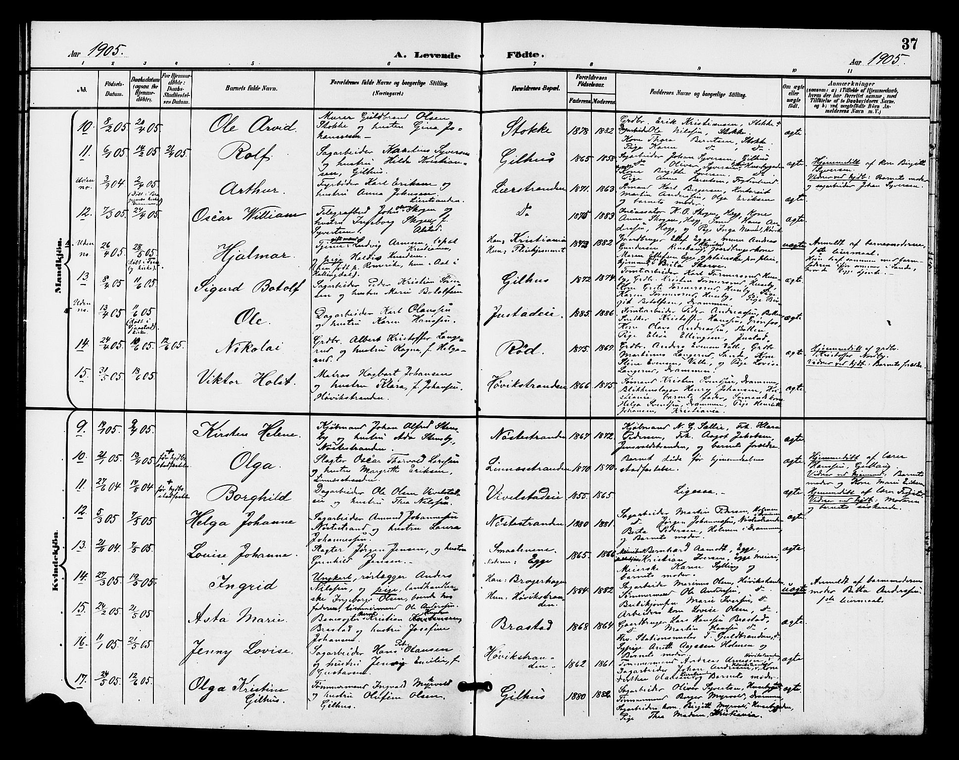 Lier kirkebøker, AV/SAKO-A-230/G/Gb/L0002: Parish register (copy) no. II 2, 1899-1911, p. 37
