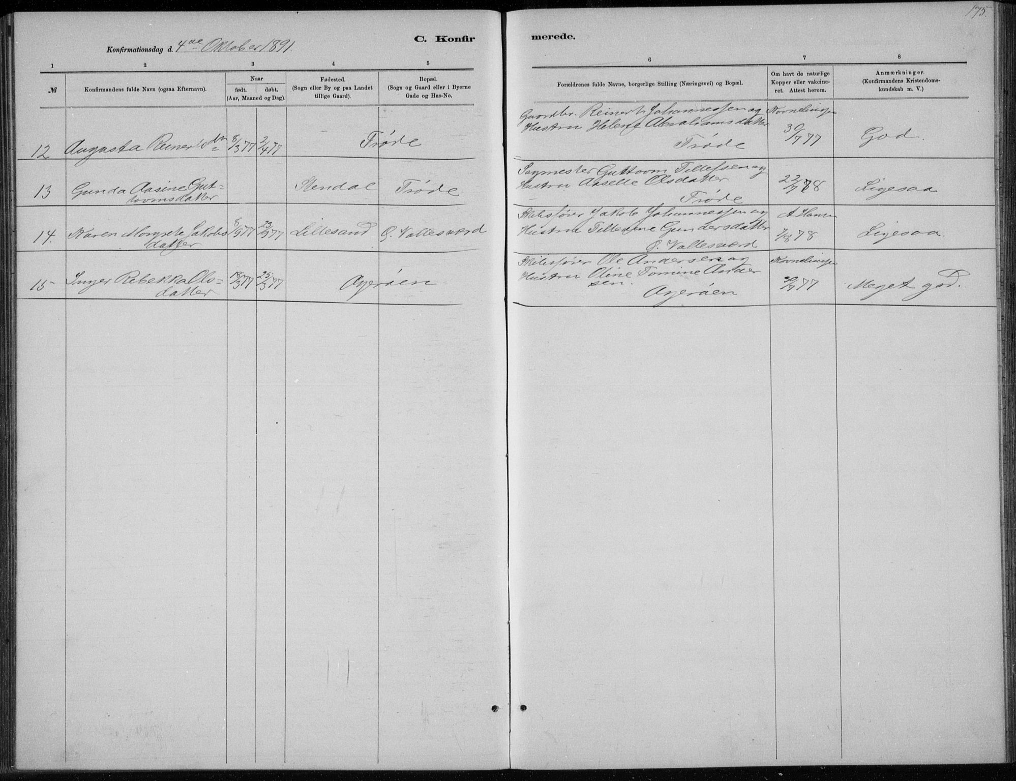 Høvåg sokneprestkontor, SAK/1111-0025/F/Fb/L0004: Parish register (copy) no. B 4, 1883-1898, p. 175