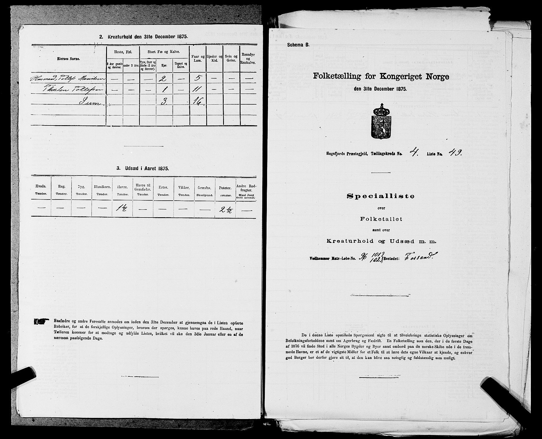 SAST, 1875 census for 1128P Høgsfjord, 1875, p. 419