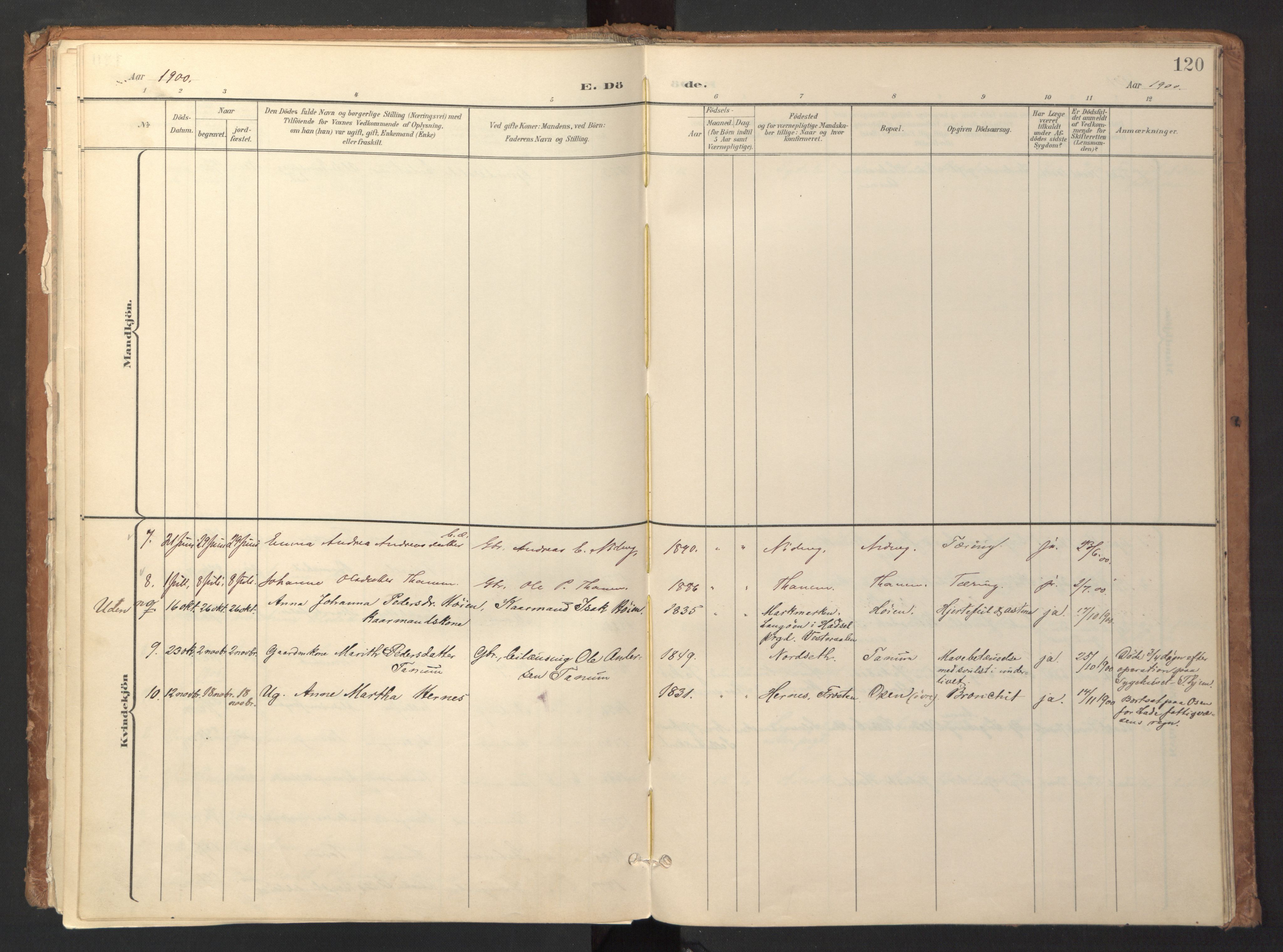 Ministerialprotokoller, klokkerbøker og fødselsregistre - Sør-Trøndelag, AV/SAT-A-1456/618/L0448: Parish register (official) no. 618A11, 1898-1916, p. 120