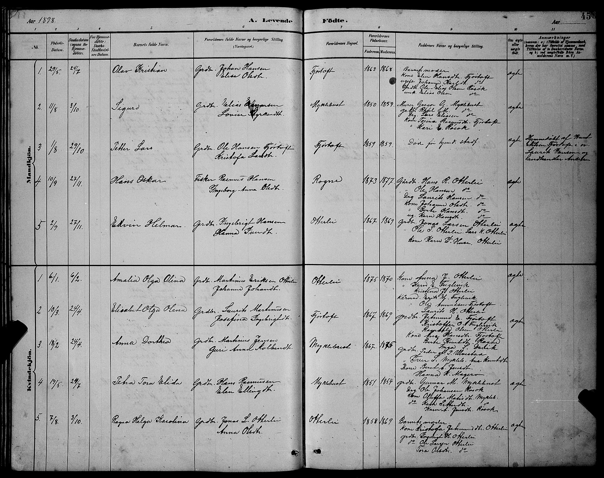 Ministerialprotokoller, klokkerbøker og fødselsregistre - Møre og Romsdal, SAT/A-1454/538/L0523: Parish register (copy) no. 538C01, 1881-1900, p. 45
