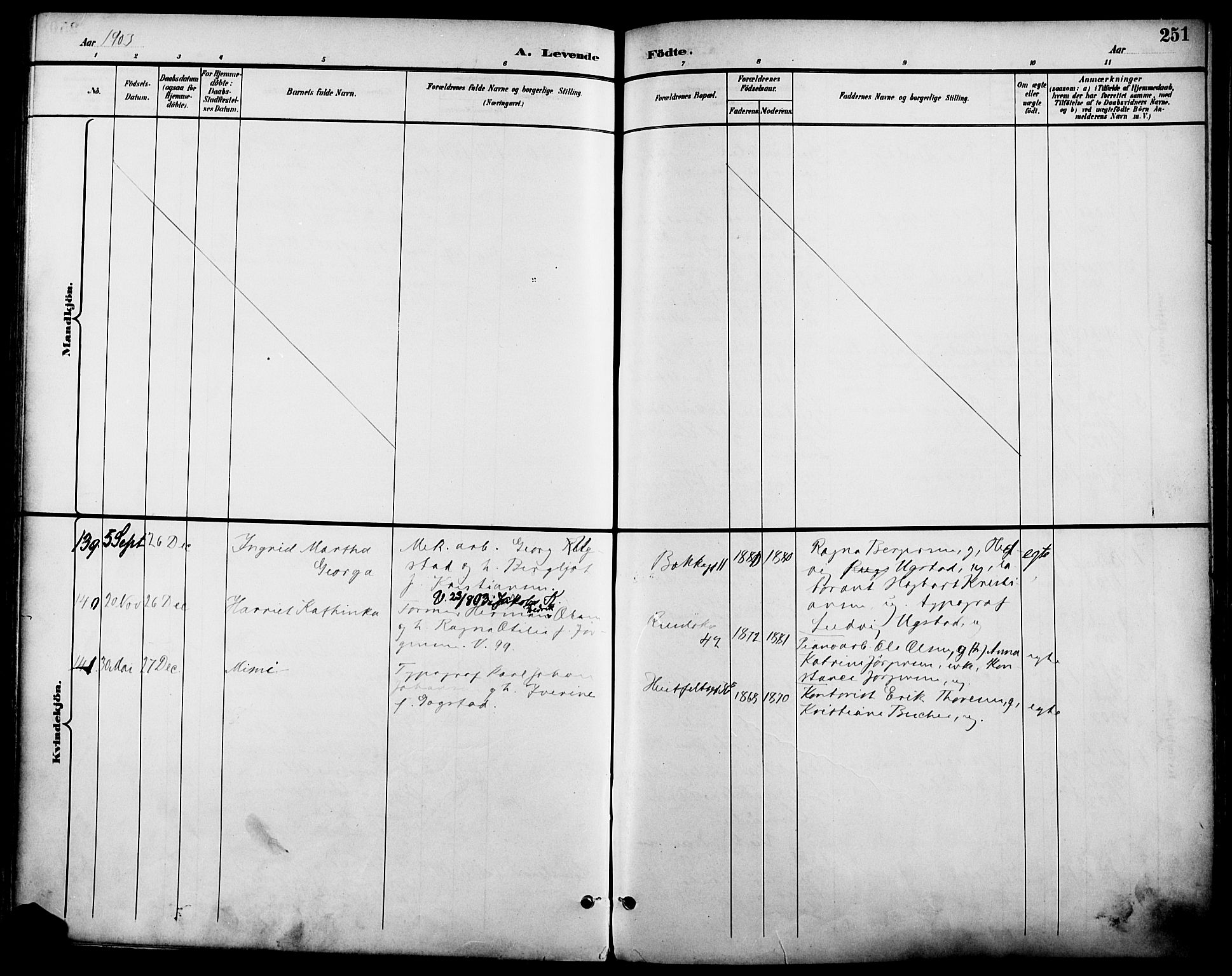 Johannes prestekontor Kirkebøker, SAO/A-10852/F/Fa/L0007: Parish register (official) no. 7, 1896-1905, p. 251