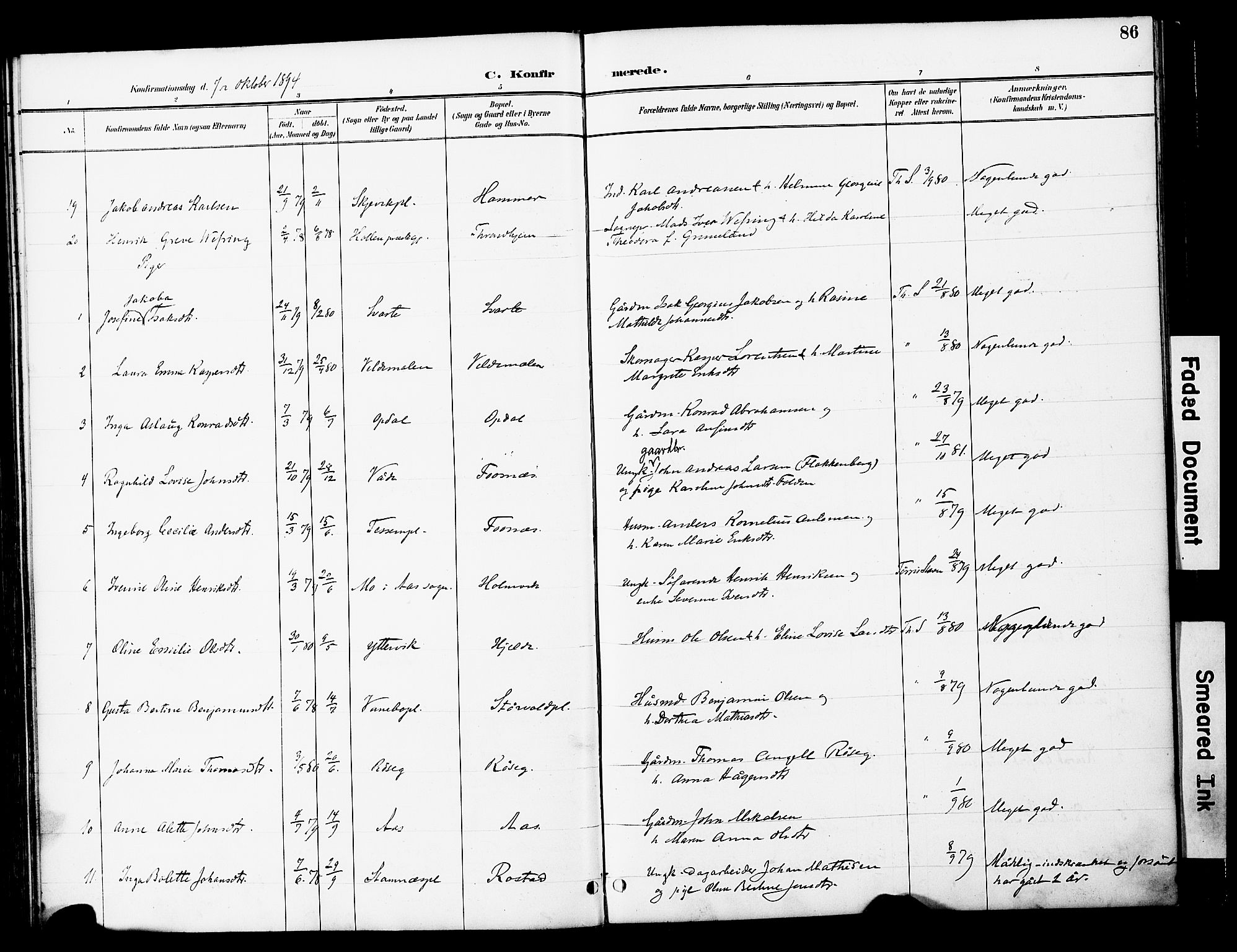 Ministerialprotokoller, klokkerbøker og fødselsregistre - Nord-Trøndelag, AV/SAT-A-1458/741/L0396: Parish register (official) no. 741A10, 1889-1901, p. 86