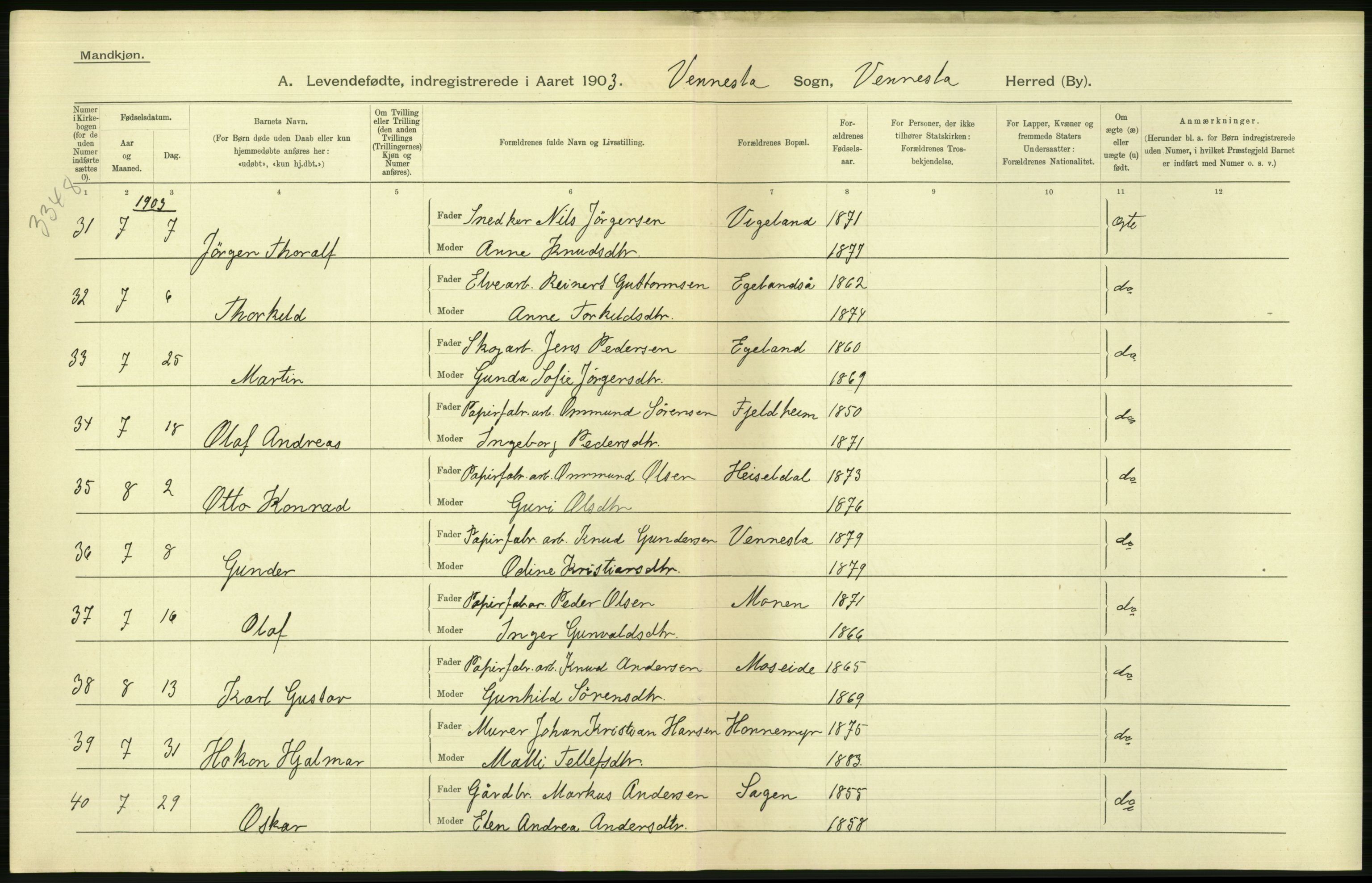 Statistisk sentralbyrå, Sosiodemografiske emner, Befolkning, AV/RA-S-2228/D/Df/Dfa/Dfaa/L0011: Lister og Mandal amt: Fødte, gifte, døde, 1903, p. 172