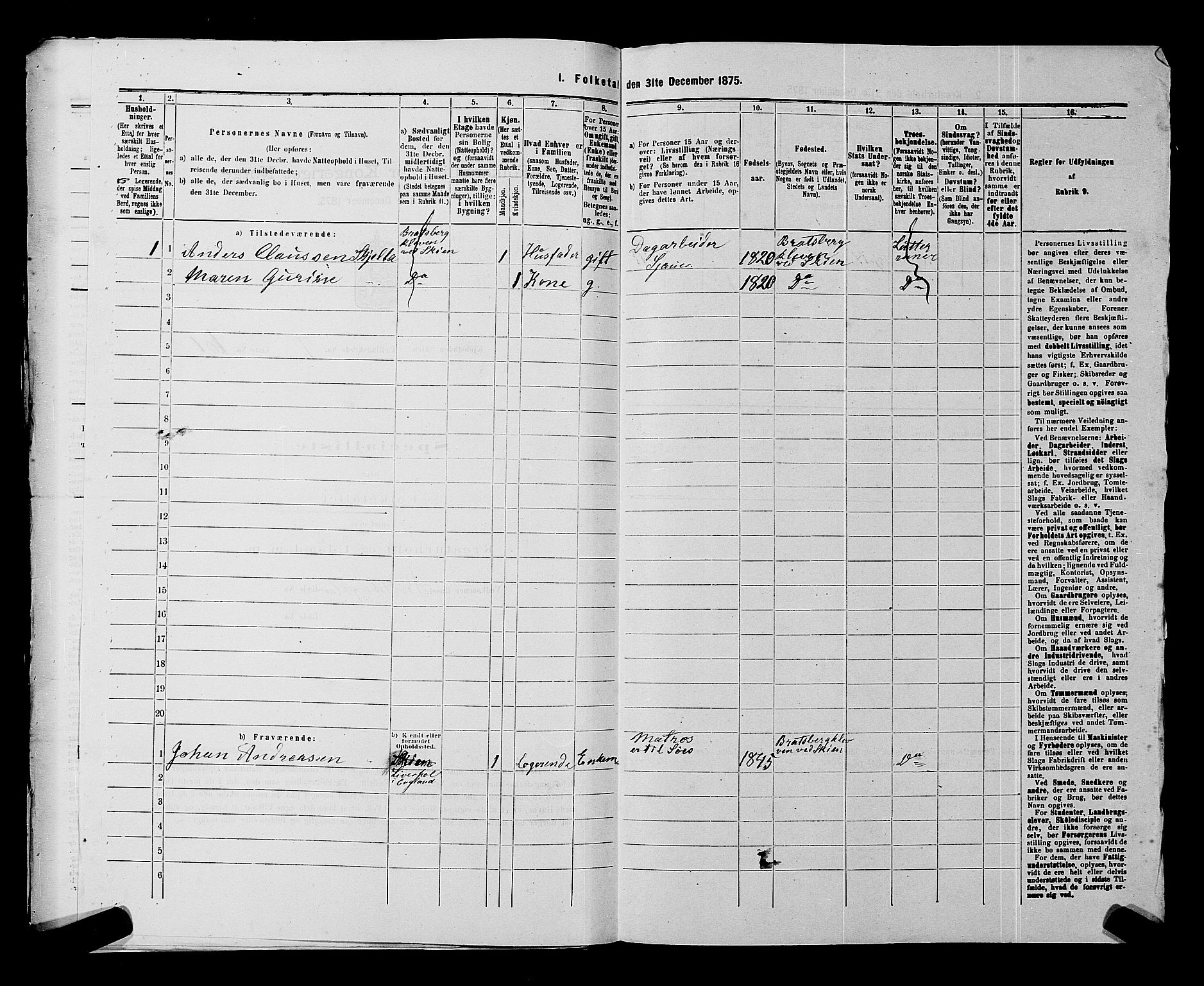 SAKO, 1875 census for 0806P Skien, 1875, p. 1251