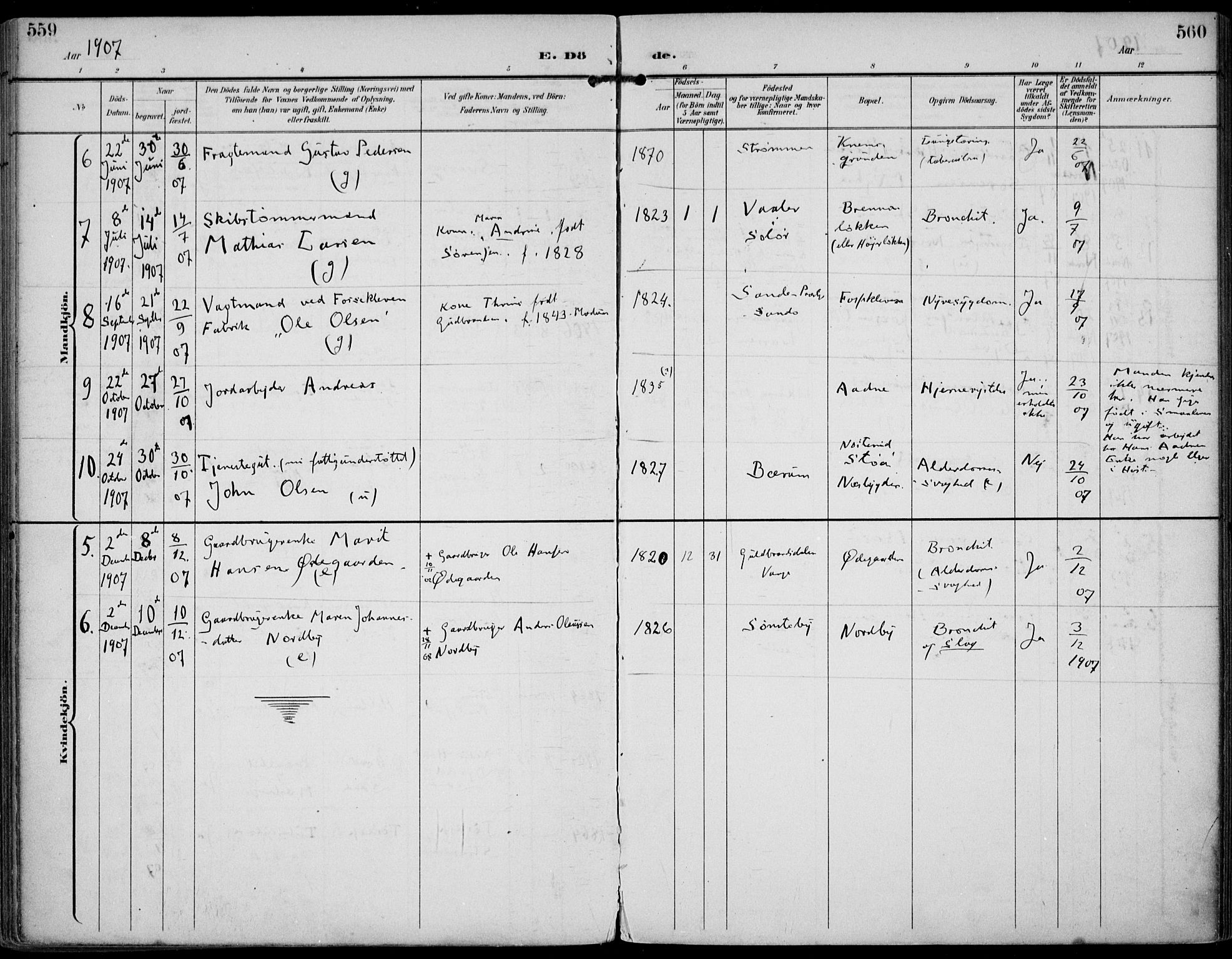 Strømm kirkebøker, AV/SAKO-A-322/F/Fa/L0005: Parish register (official) no. I 5, 1898-1919, p. 559-560