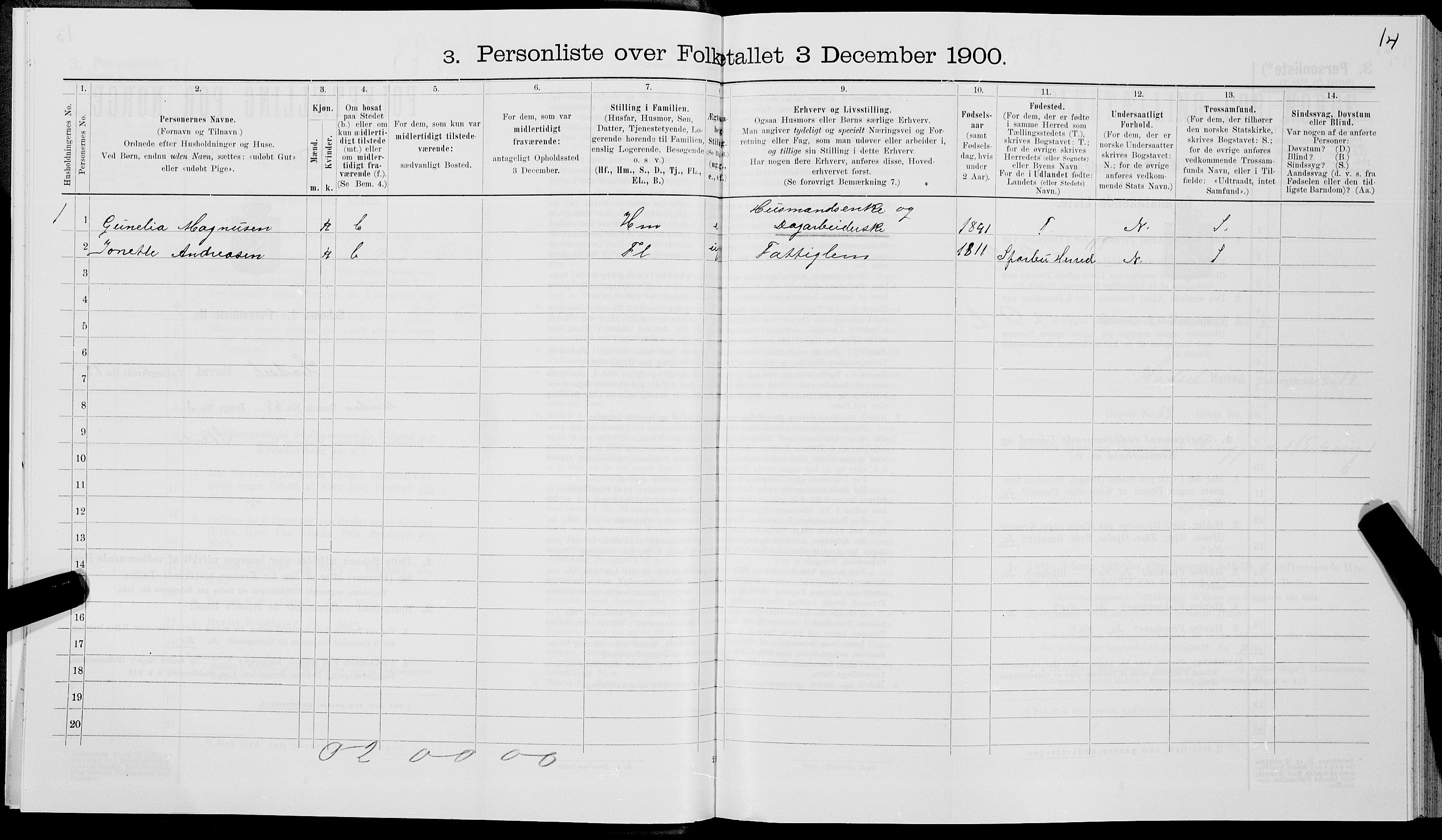 SAT, 1900 census for Hadsel, 1900, p. 1119