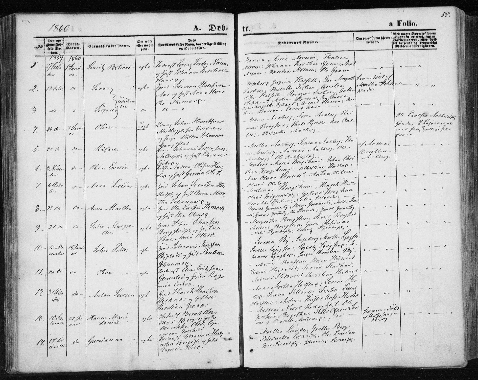 Ministerialprotokoller, klokkerbøker og fødselsregistre - Nord-Trøndelag, SAT/A-1458/730/L0283: Parish register (official) no. 730A08, 1855-1865, p. 55