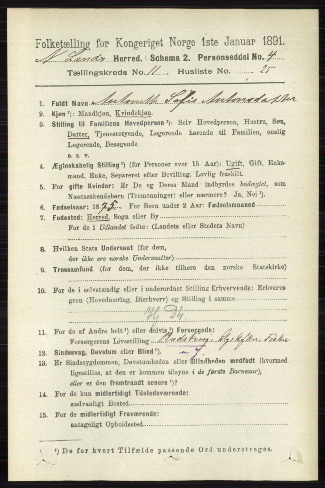 RA, 1891 census for 0538 Nordre Land, 1891, p. 3164