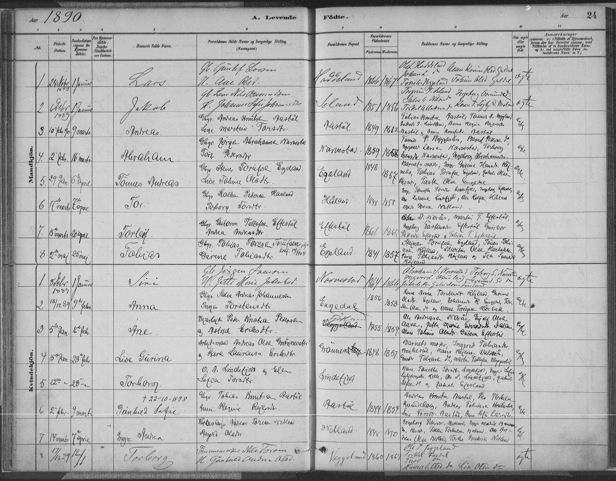 Fjotland sokneprestkontor, SAK/1111-0010/F/Fa/L0002: Parish register (official) no. A 2, 1880-1898, p. 24