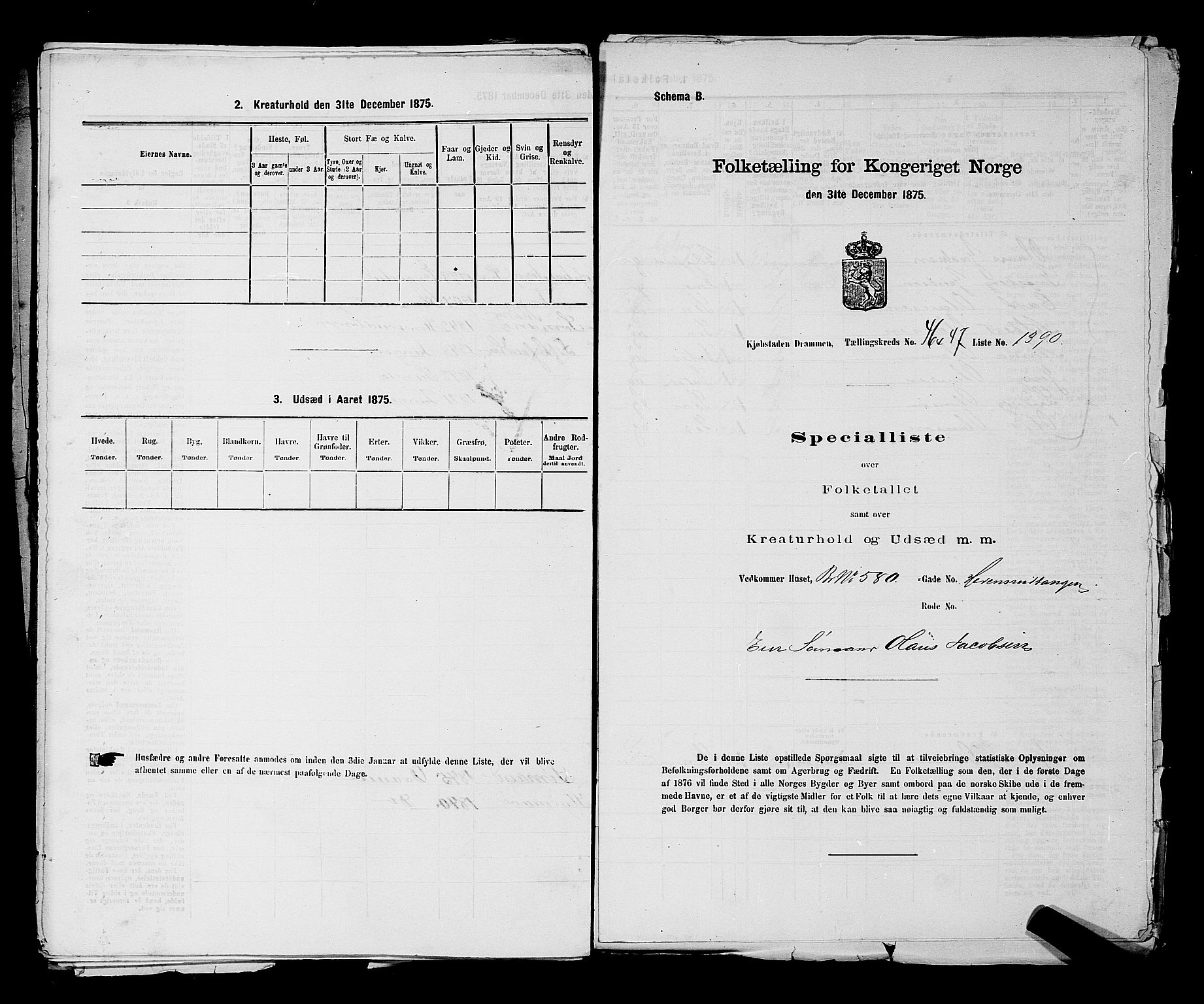 SAKO, 1875 census for 0602 Drammen, 1875, p. 3722