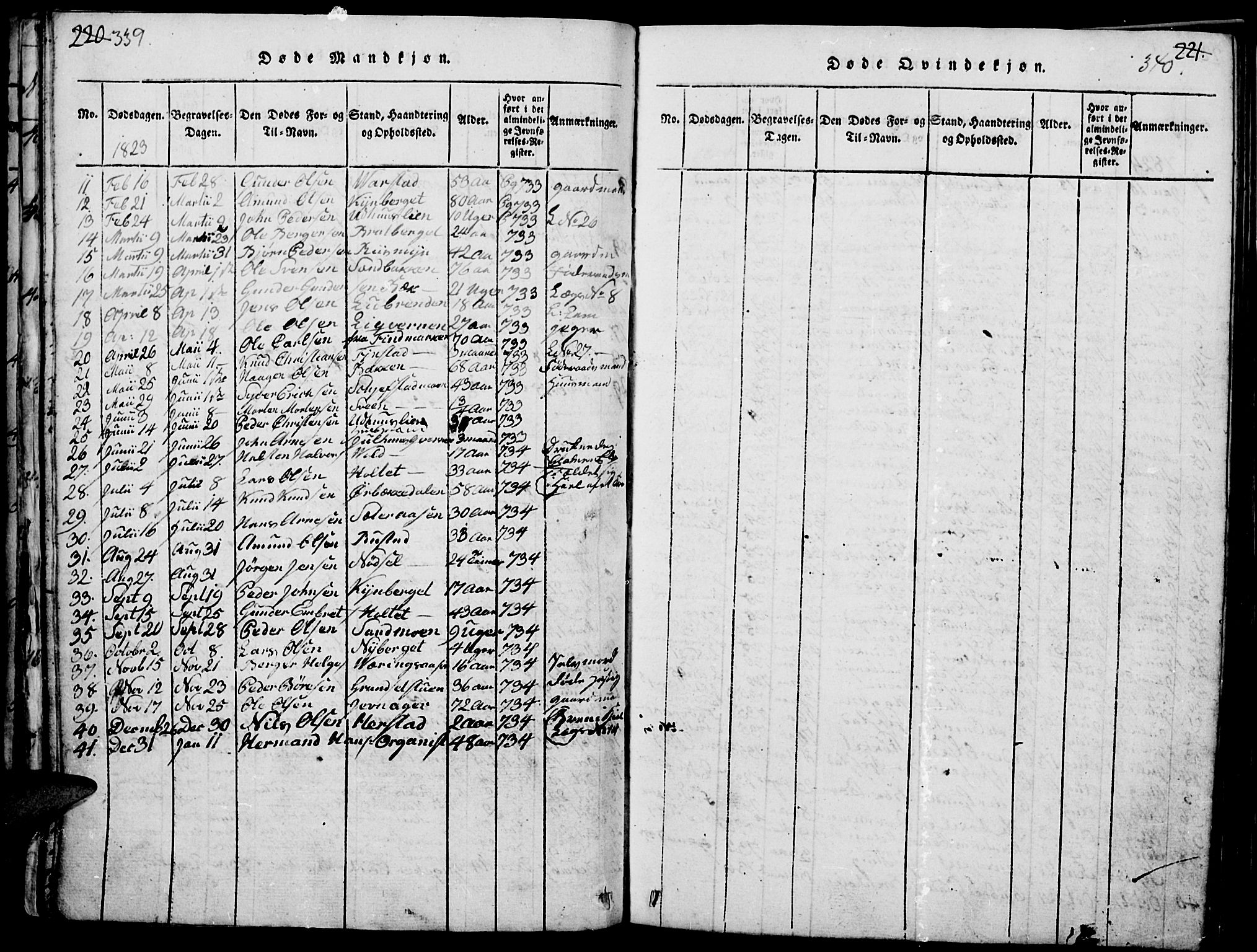 Elverum prestekontor, SAH/PREST-044/H/Ha/Haa/L0007: Parish register (official) no. 7, 1815-1830, p. 339-340