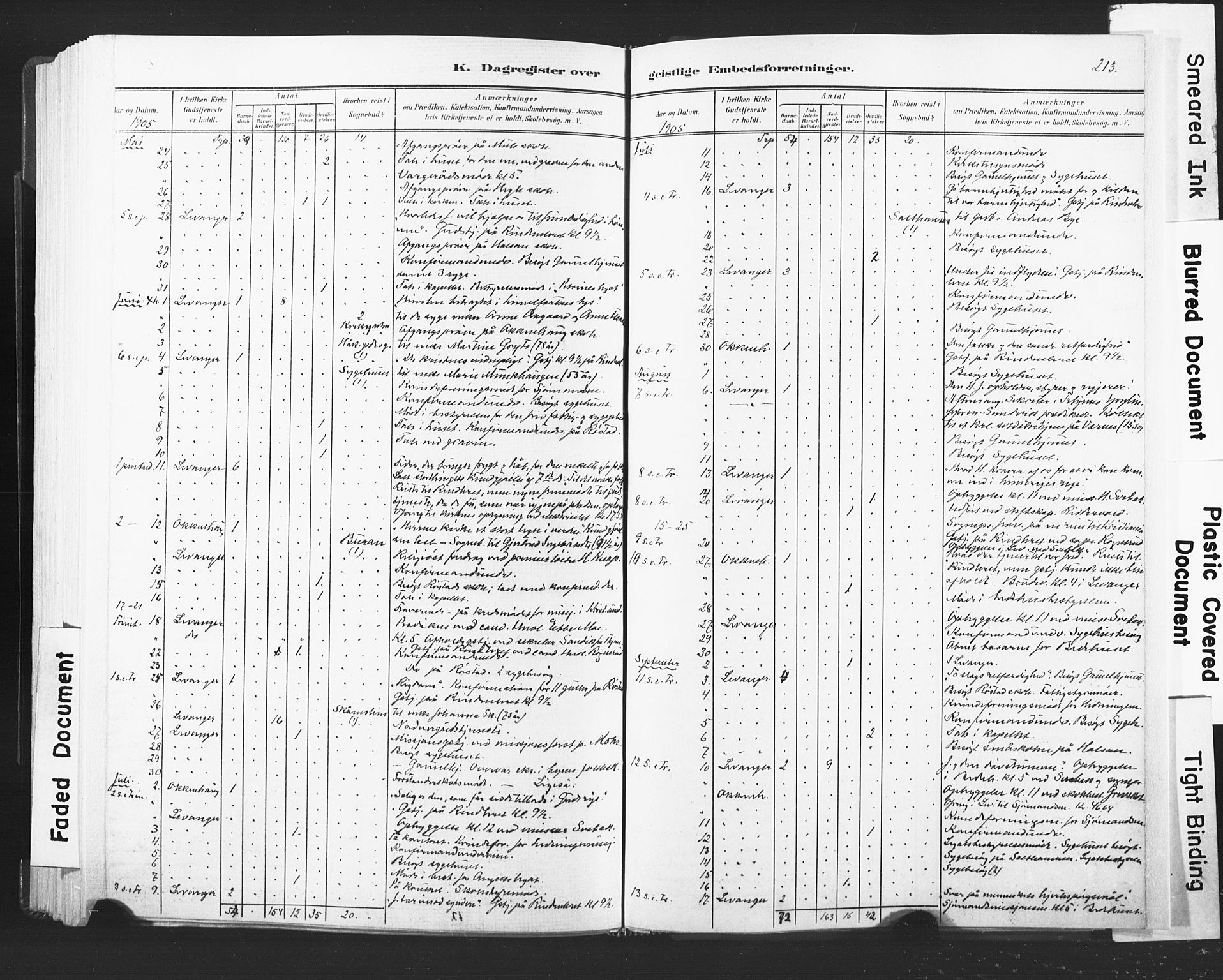 Ministerialprotokoller, klokkerbøker og fødselsregistre - Nord-Trøndelag, SAT/A-1458/720/L0189: Parish register (official) no. 720A05, 1880-1911, p. 213