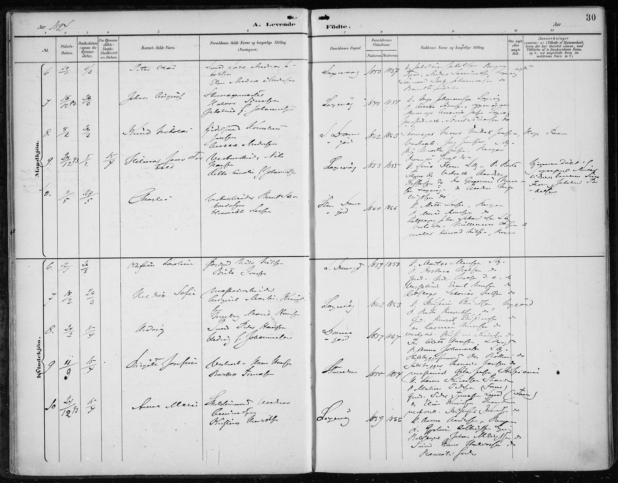 Askøy Sokneprestembete, AV/SAB-A-74101/H/Ha/Haa/Haae/L0003: Parish register (official) no. E 3, 1891-1903, p. 30