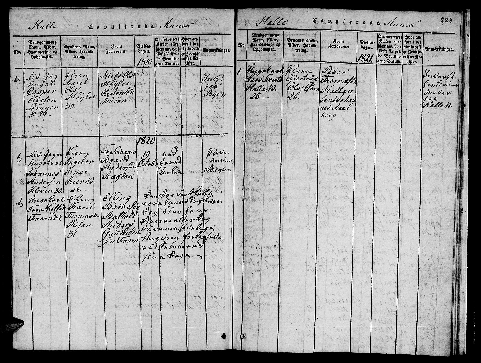 Ministerialprotokoller, klokkerbøker og fødselsregistre - Nord-Trøndelag, SAT/A-1458/723/L0251: Parish register (copy) no. 723C01 /3, 1817-1821, p. 228
