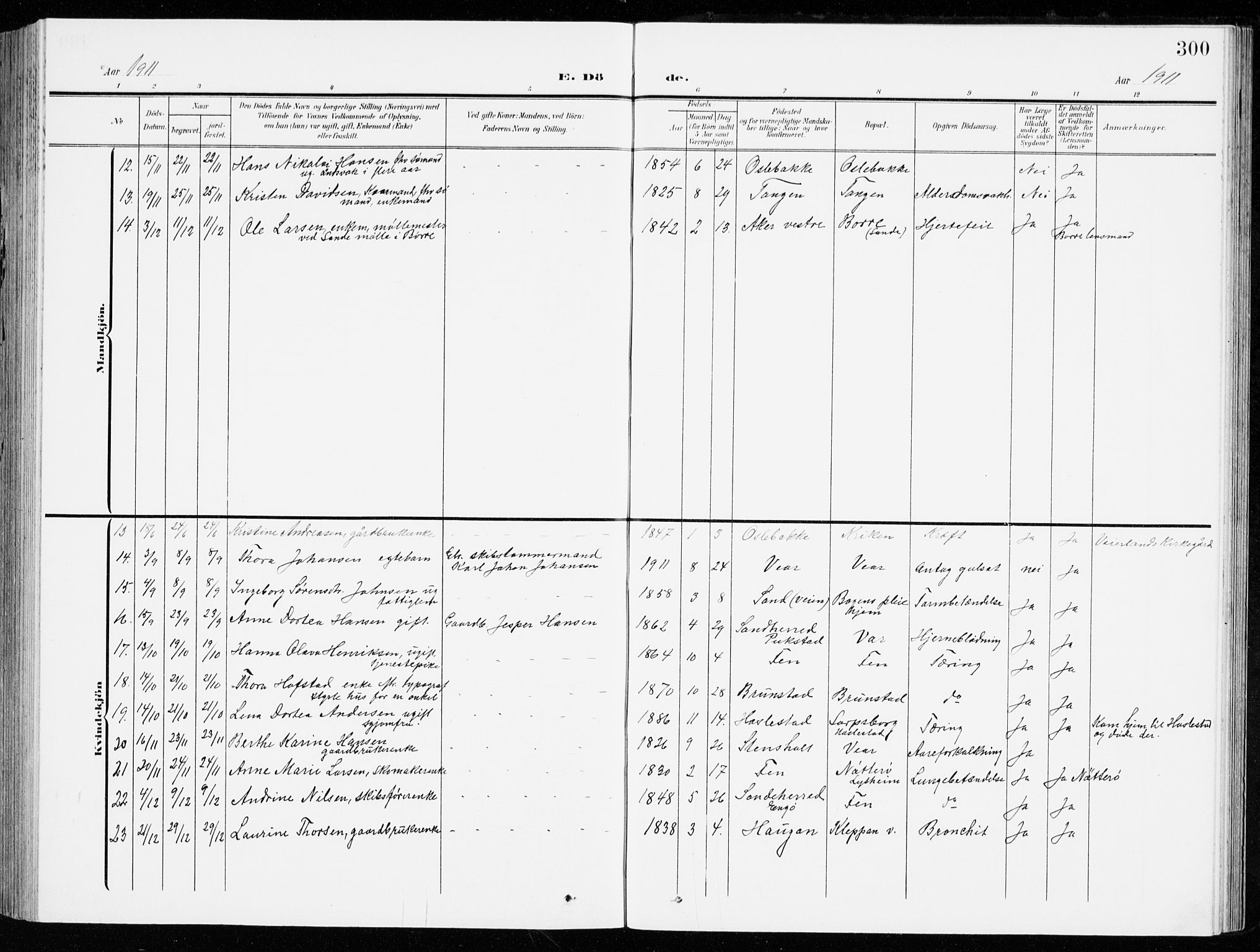 Stokke kirkebøker, AV/SAKO-A-320/G/Ga/L0001: Parish register (copy) no. I 1, 1904-1940, p. 300