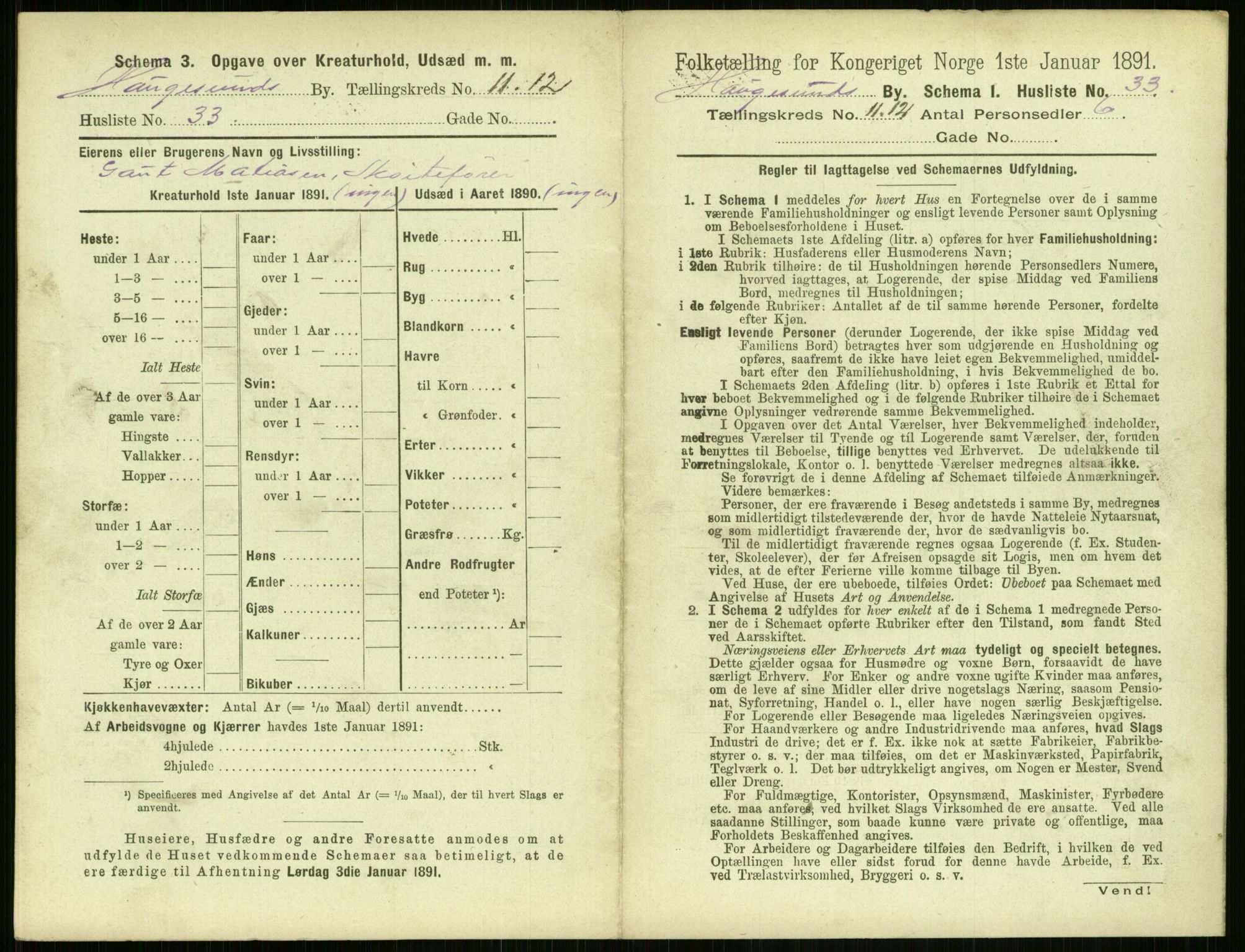 RA, 1891 census for 1106 Haugesund, 1891, p. 830