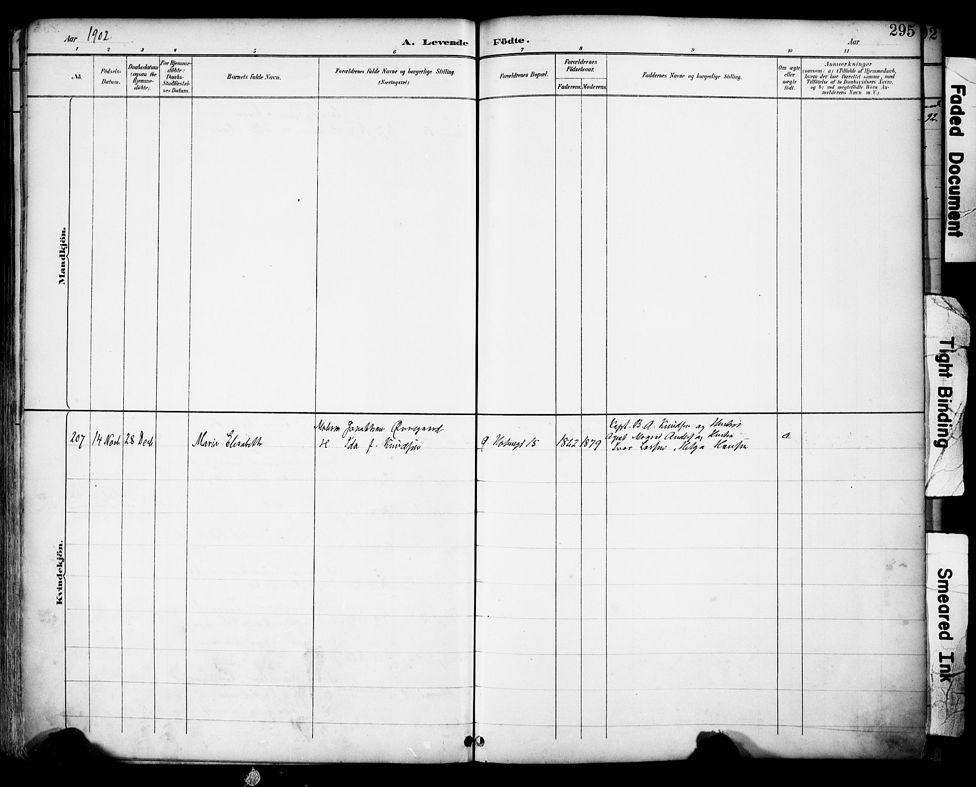 Domkirken sokneprestkontor, SAST/A-101812/001/30/30BA/L0030: Parish register (official) no. A 29, 1889-1902, p. 295