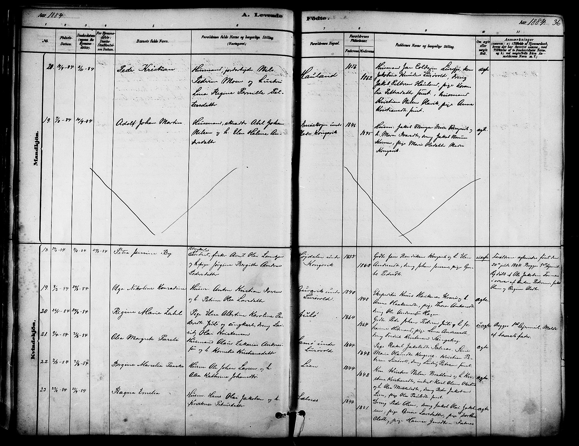 Ministerialprotokoller, klokkerbøker og fødselsregistre - Nordland, AV/SAT-A-1459/839/L0568: Parish register (official) no. 839A05, 1880-1902, p. 36