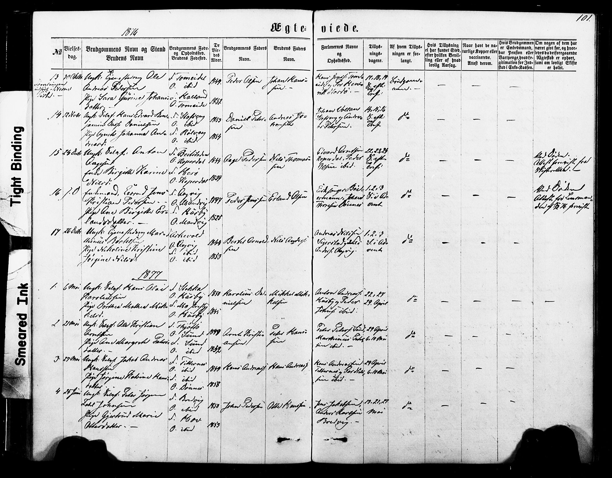 Ministerialprotokoller, klokkerbøker og fødselsregistre - Nordland, AV/SAT-A-1459/835/L0524: Parish register (official) no. 835A02, 1865-1880, p. 101