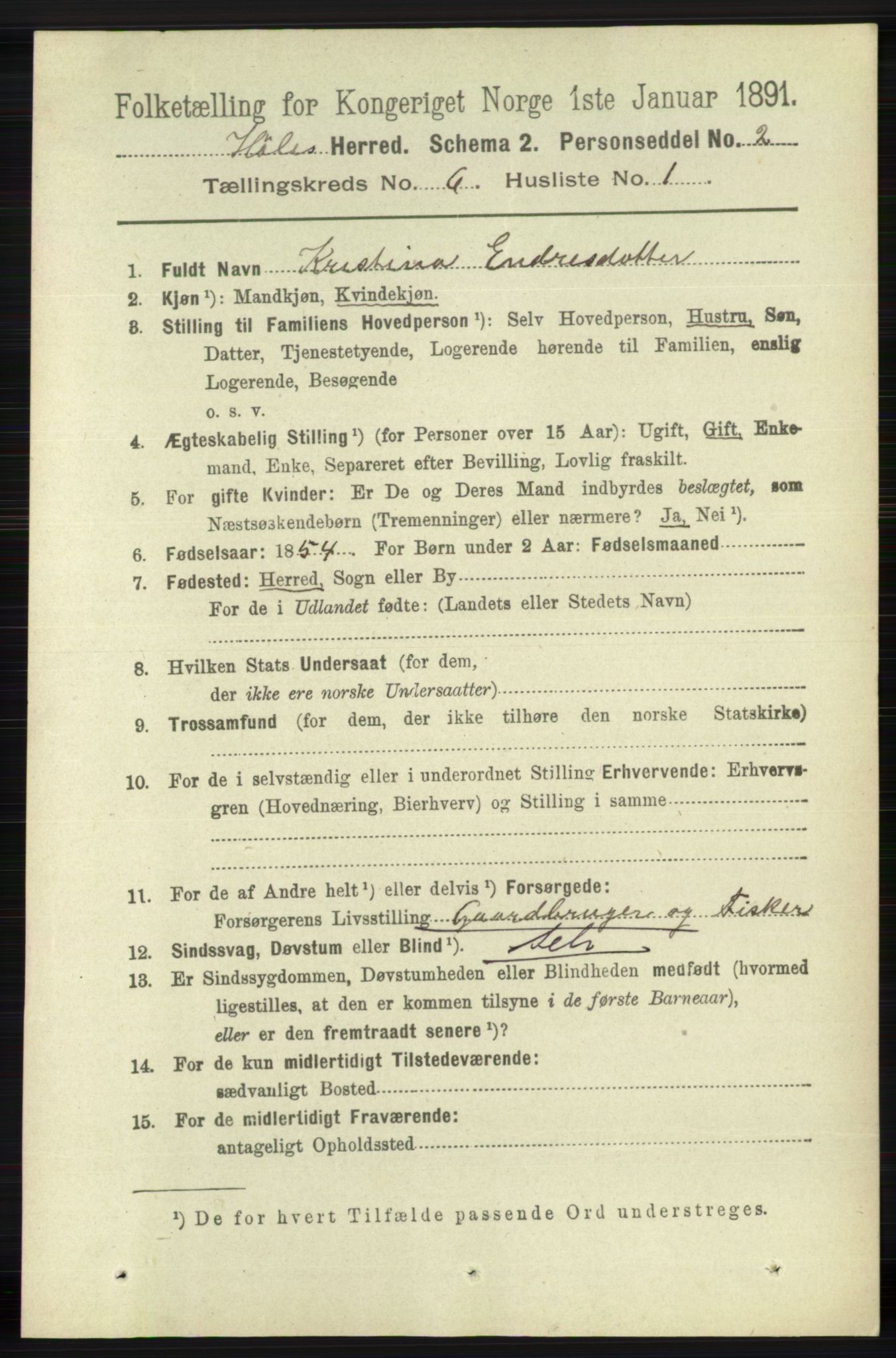 RA, 1891 census for 1128 Høle, 1891, p. 1293