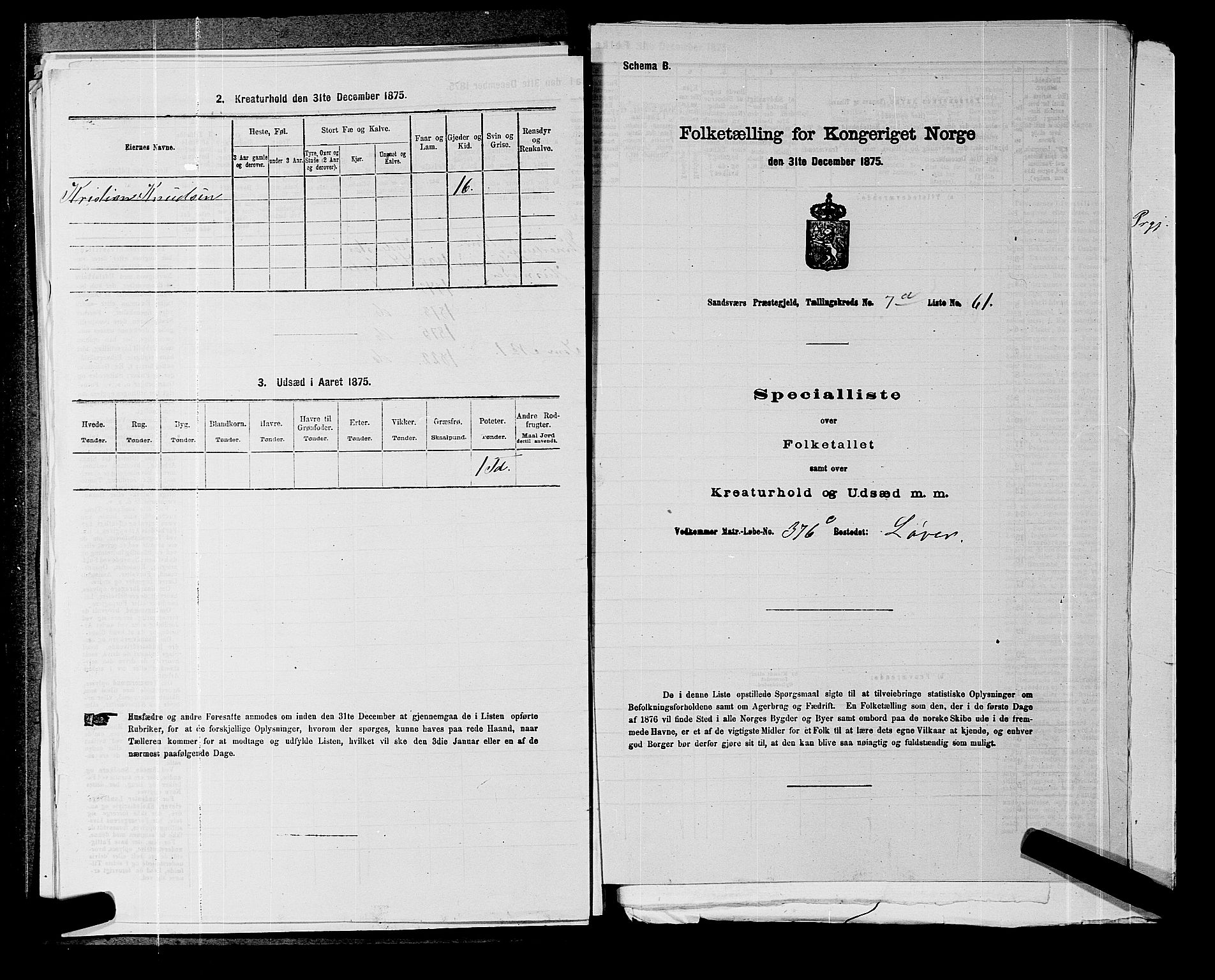 SAKO, 1875 census for 0629P Sandsvær, 1875, p. 1423