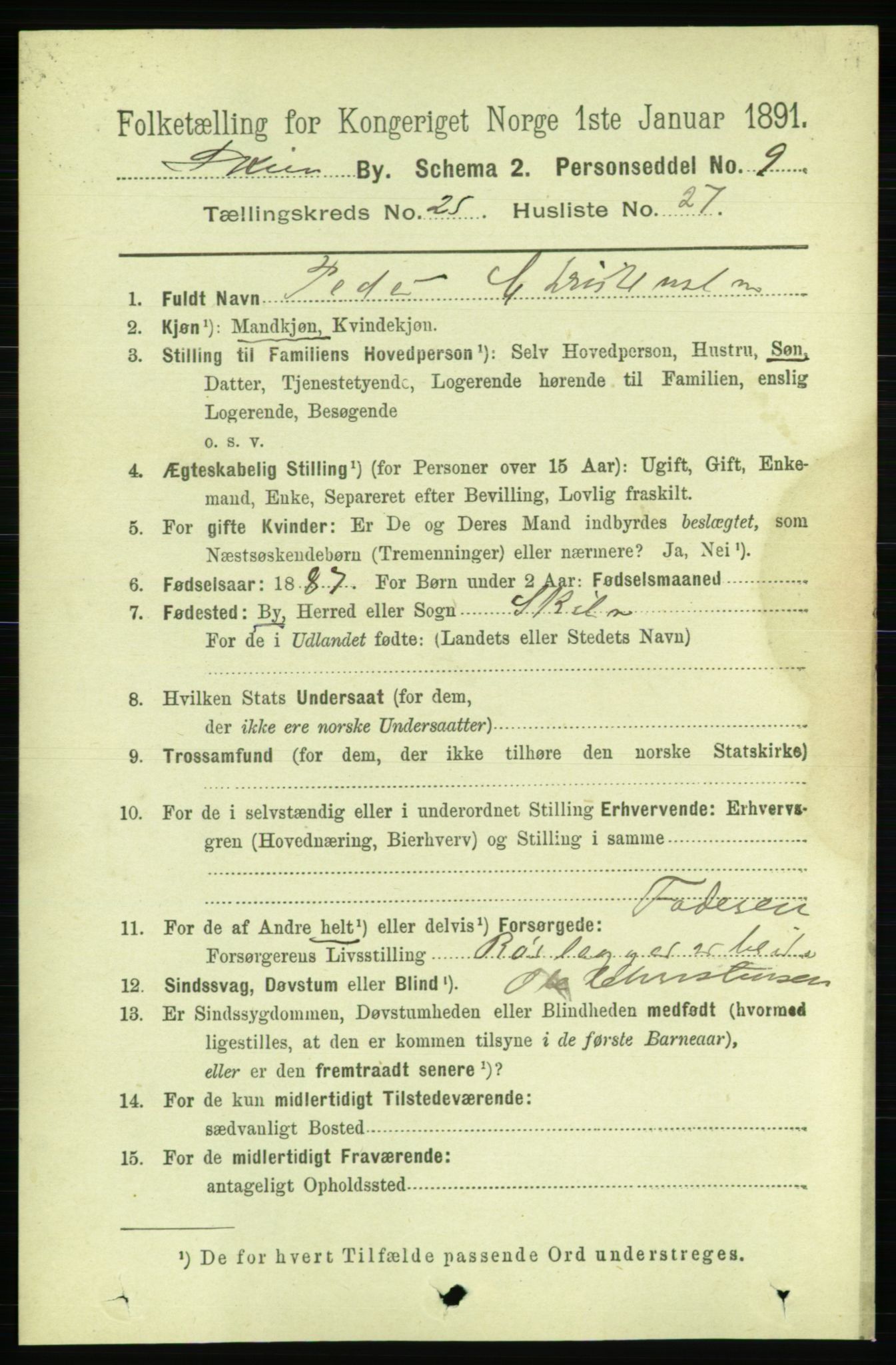 RA, 1891 census for 0806 Skien, 1891, p. 6243