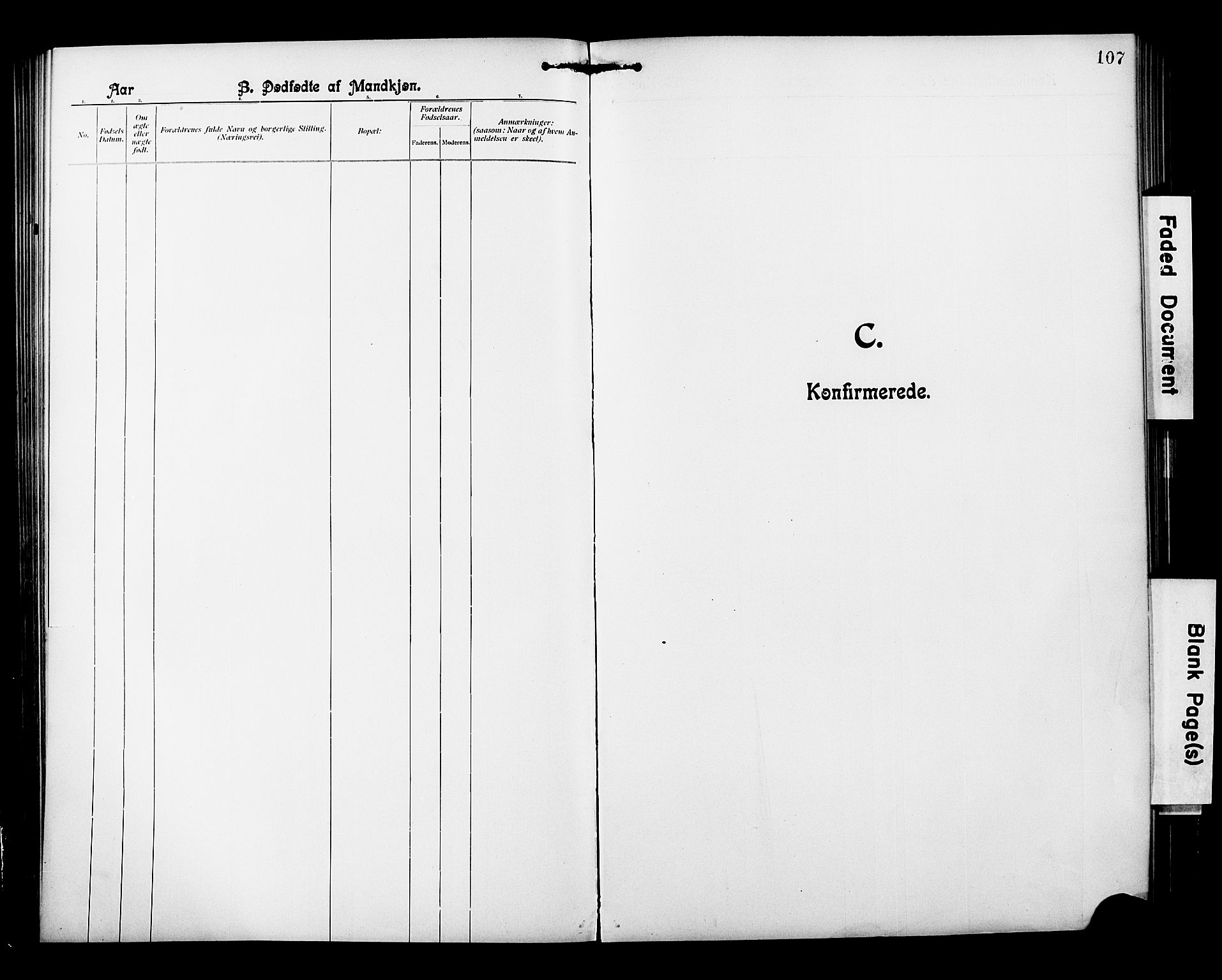 Ministerialprotokoller, klokkerbøker og fødselsregistre - Nordland, SAT/A-1459/850/L0709: Parish register (official) no. 850A01, 1899-1909, p. 107