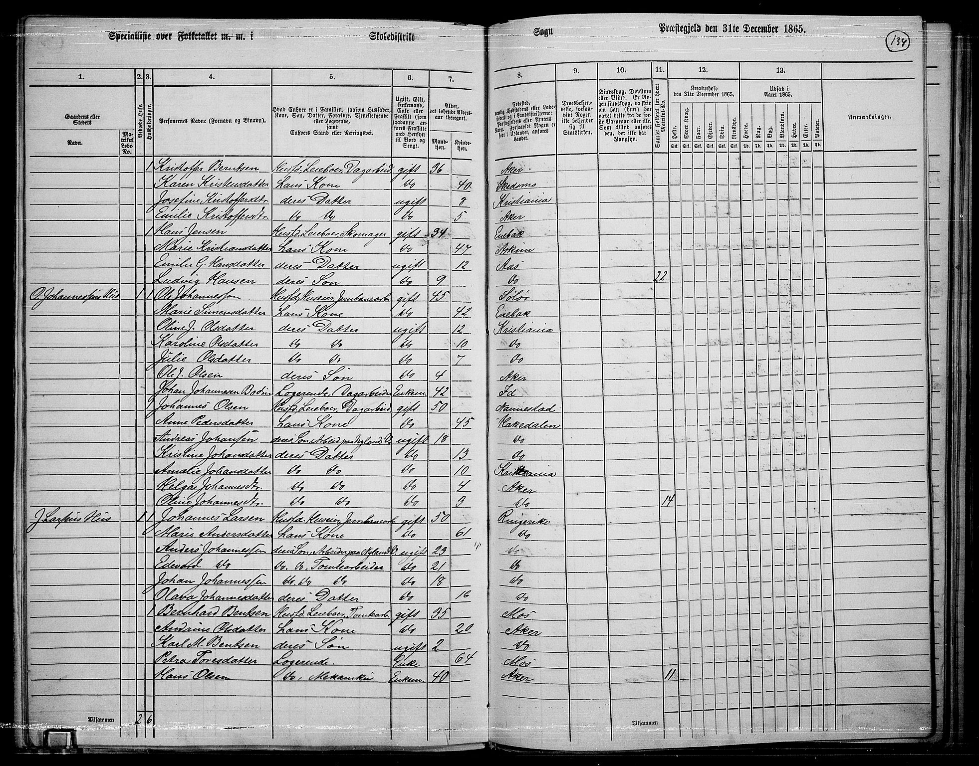 RA, 1865 census for Østre Aker, 1865, p. 355