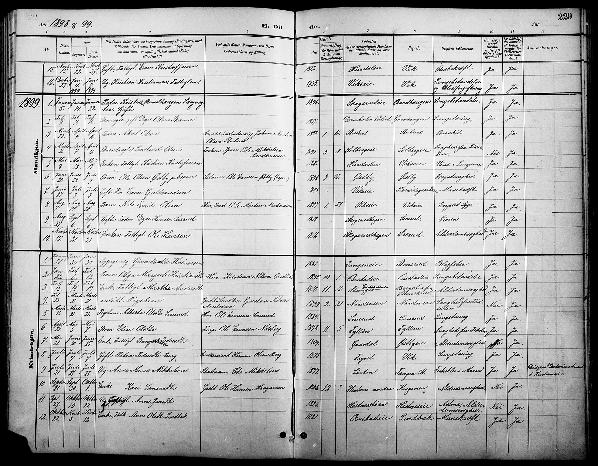 Stange prestekontor, SAH/PREST-002/L/L0011: Parish register (copy) no. 11, 1895-1917, p. 229