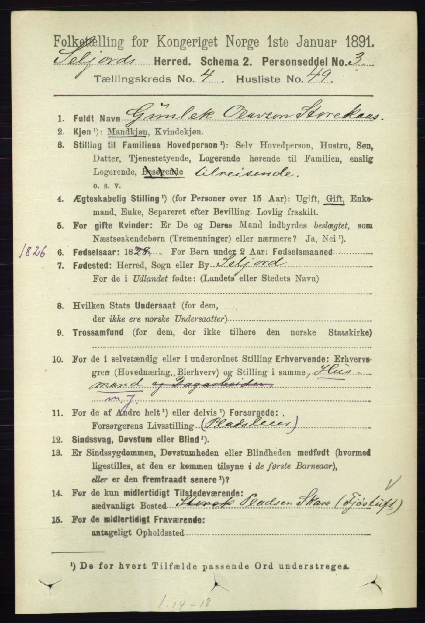 RA, 1891 census for 0828 Seljord, 1891, p. 1576