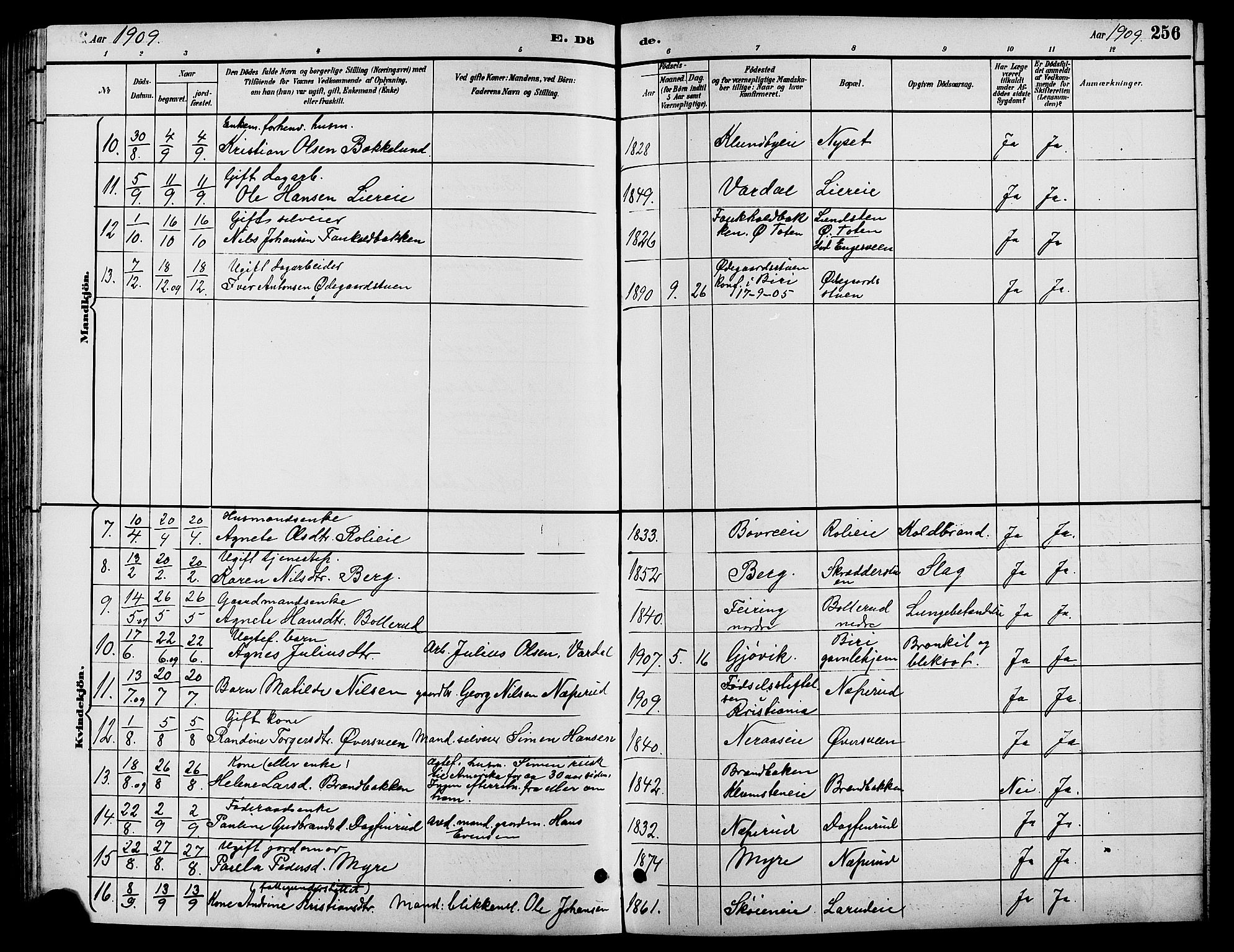 Biri prestekontor, SAH/PREST-096/H/Ha/Hab/L0004: Parish register (copy) no. 4, 1892-1909, p. 256