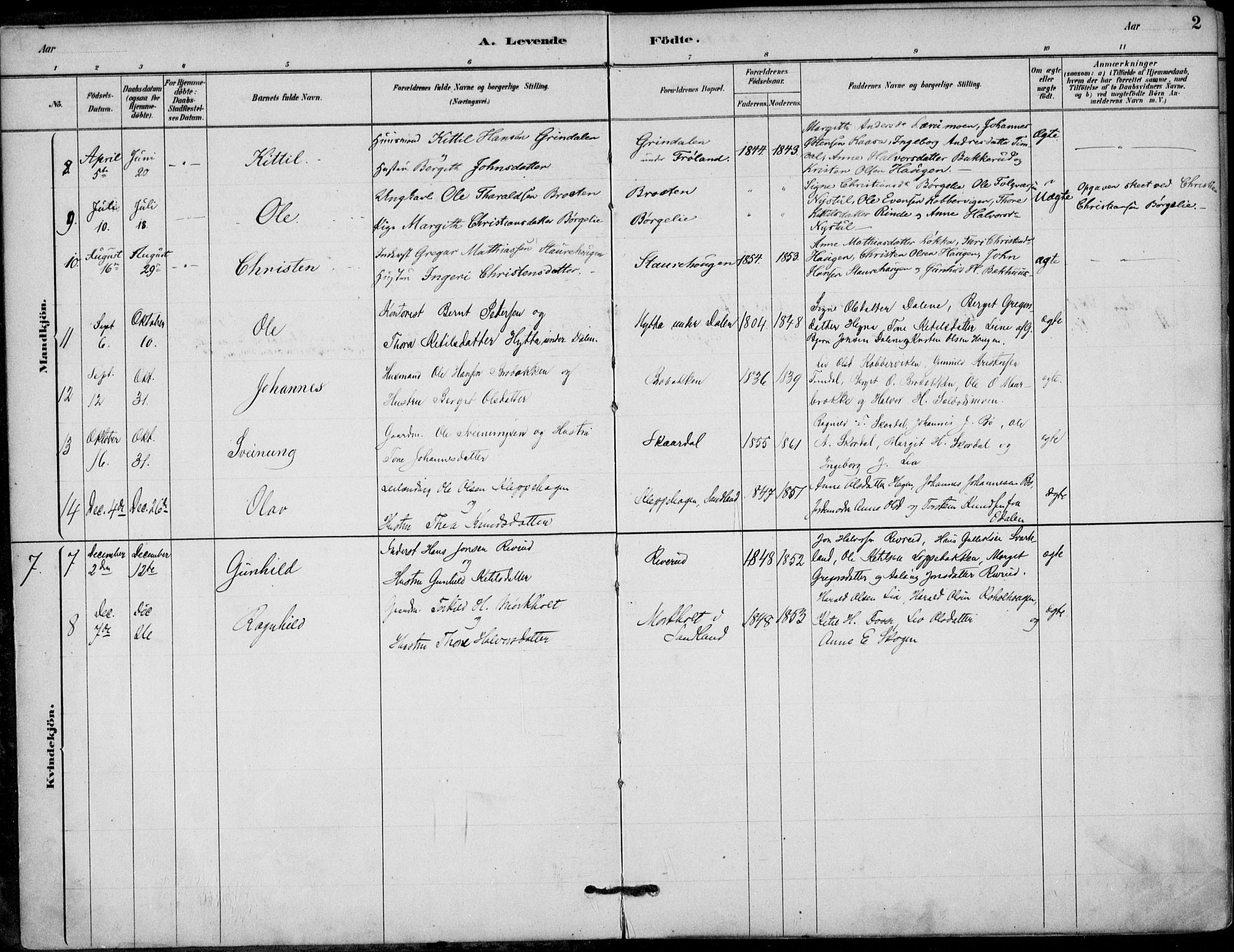 Hjartdal kirkebøker, AV/SAKO-A-270/F/Fb/L0002: Parish register (official) no. II 2, 1880-1932, p. 2