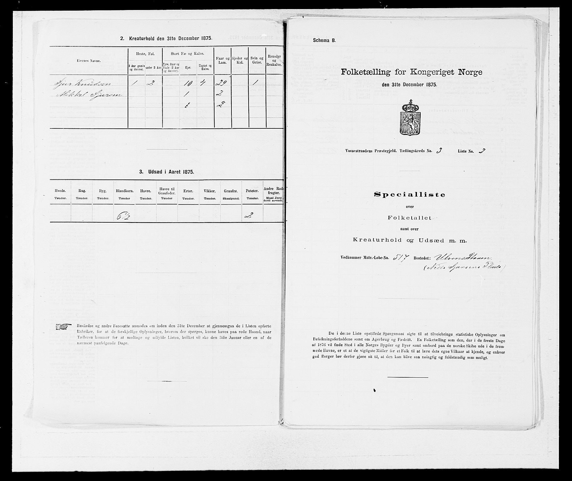 SAB, 1875 census for 1236P Vossestrand, 1875, p. 203