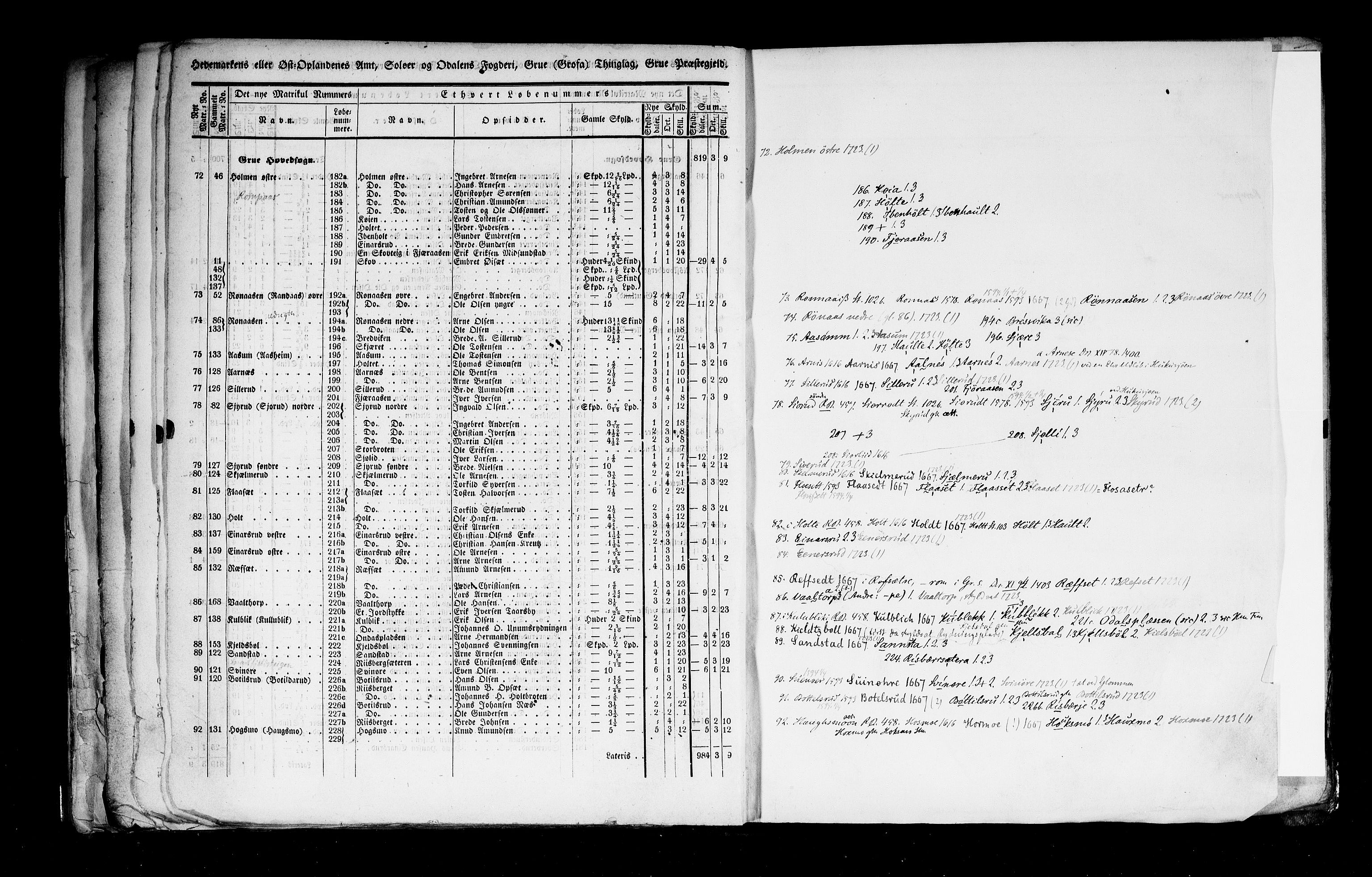 Rygh, AV/RA-PA-0034/F/Fb/L0003: Matrikkelen for 1838 - Hedemarken amt (Hedmark fylke), 1838