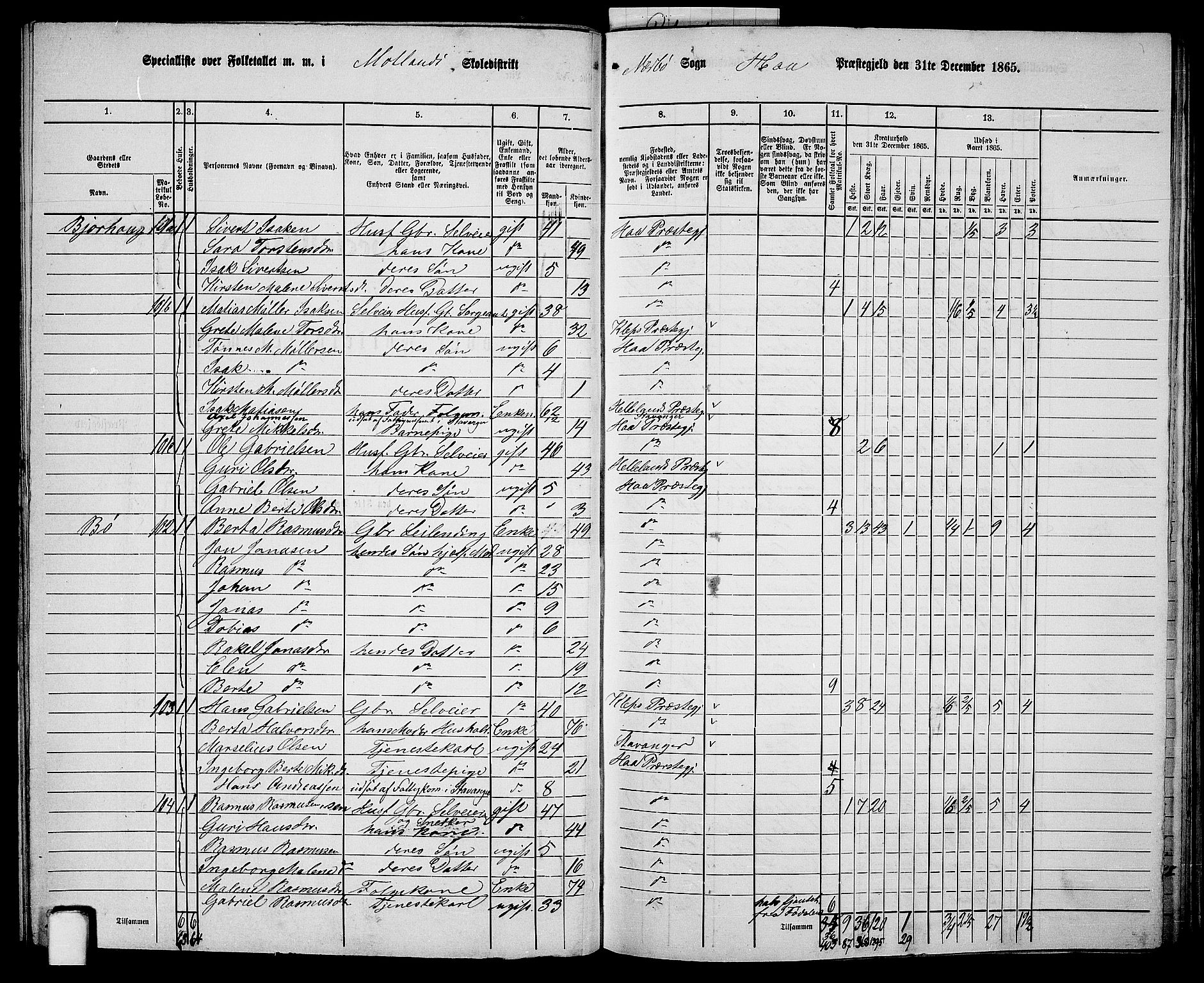 RA, 1865 census for Hå, 1865, p. 49