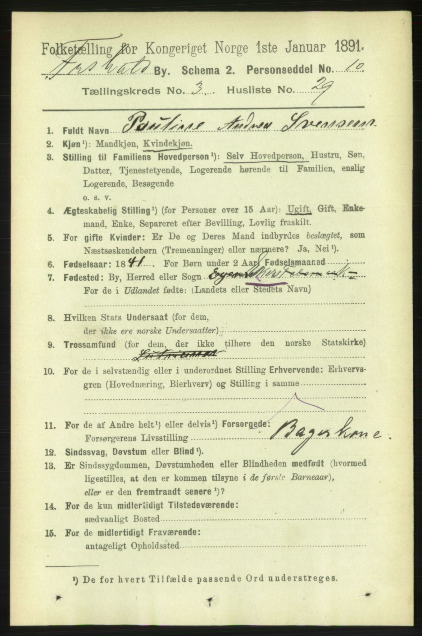 RA, 1891 census for 0101 Fredrikshald, 1891, p. 3541