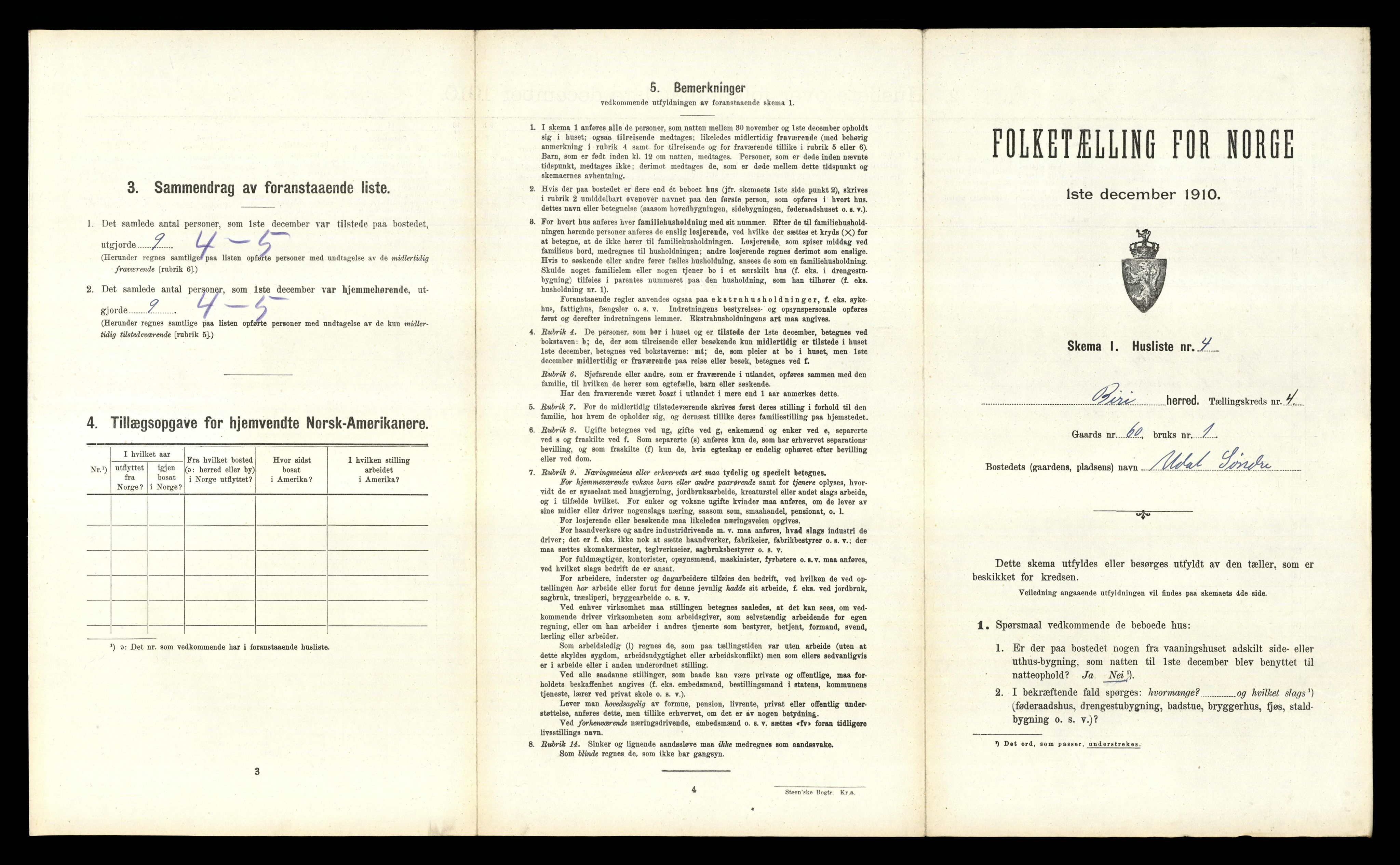 RA, 1910 census for Biri, 1910, p. 715