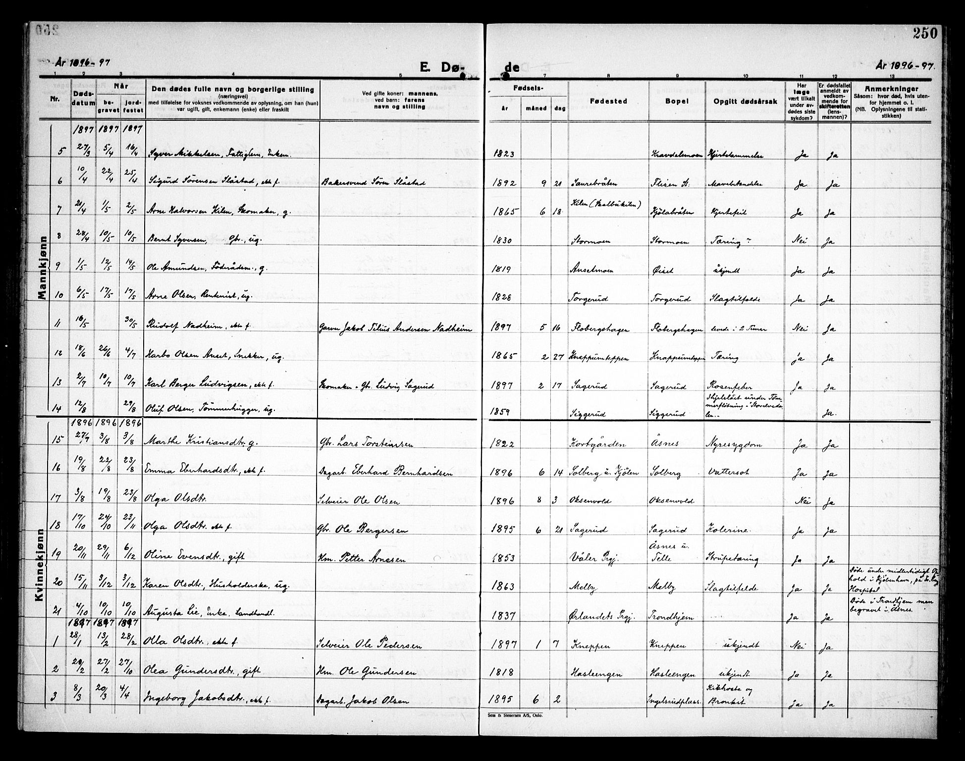 Åsnes prestekontor, AV/SAH-PREST-042/H/Ha/Haa/L0000C: Parish register (official) no. 0A, 1890-1929, p. 250