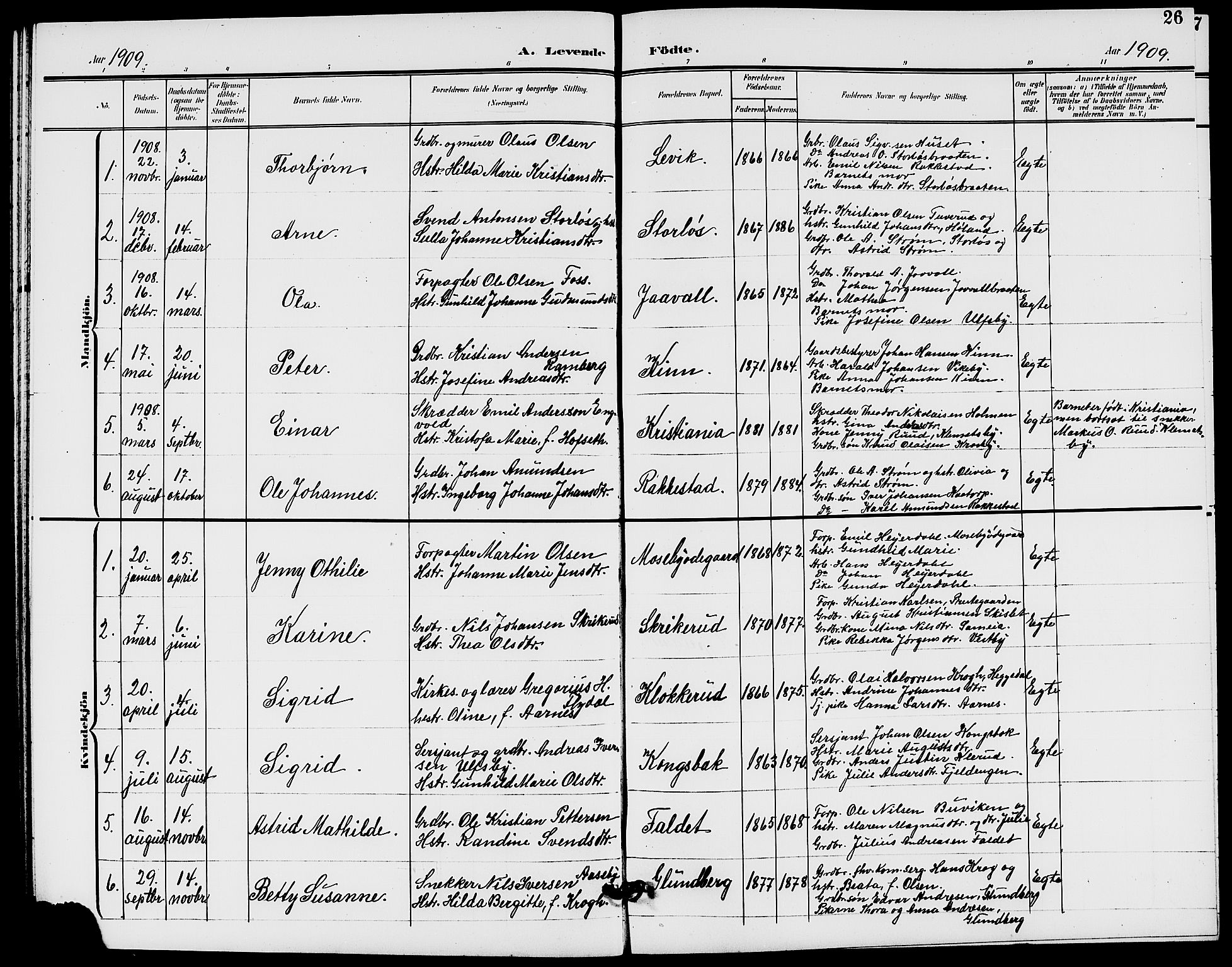 Rødenes prestekontor Kirkebøker, AV/SAO-A-2005/G/Ga/L0002: Parish register (copy) no. I 2, 1901-1910, p. 26