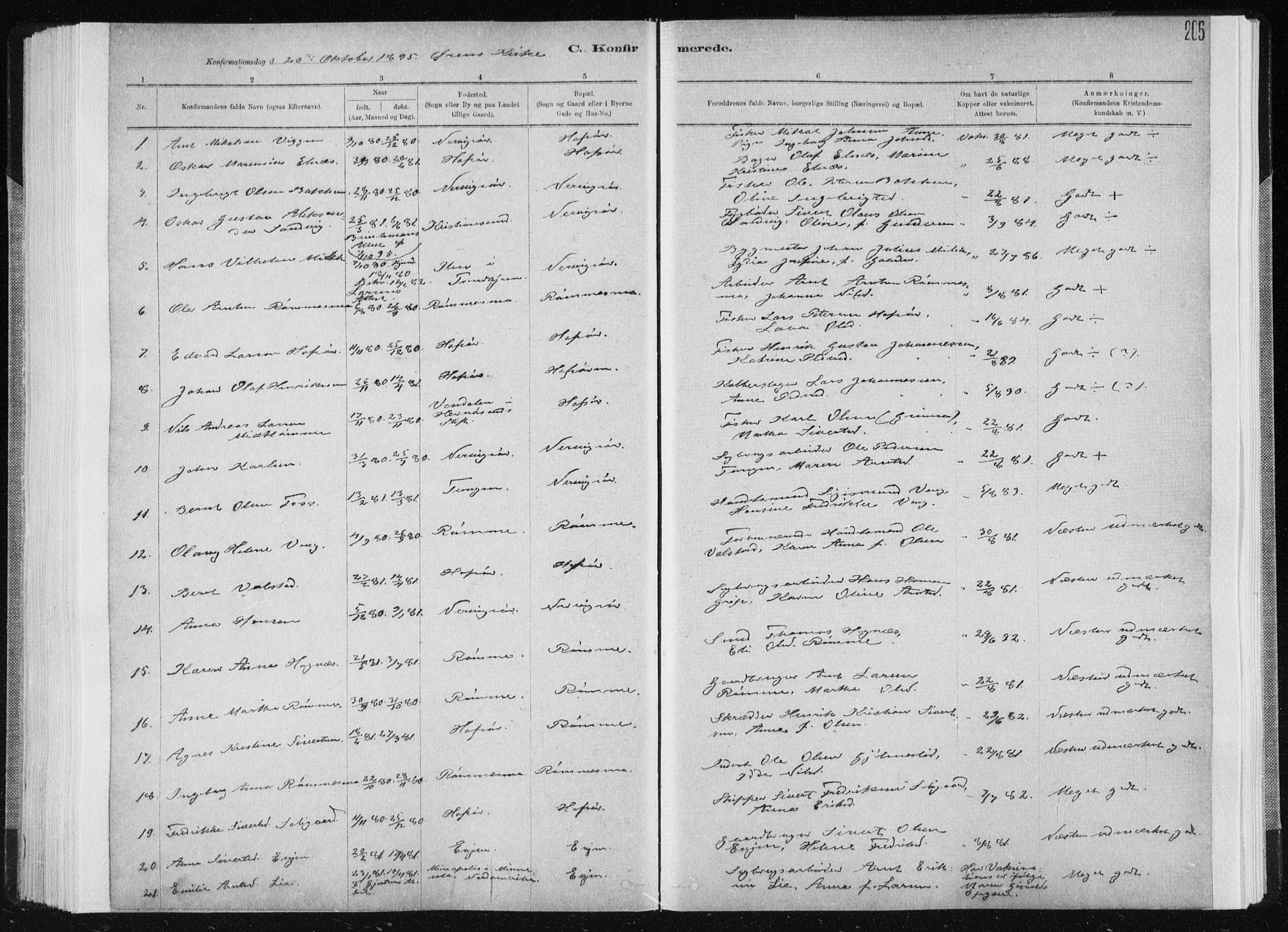 Ministerialprotokoller, klokkerbøker og fødselsregistre - Sør-Trøndelag, AV/SAT-A-1456/668/L0818: Parish register (copy) no. 668C07, 1885-1898, p. 205